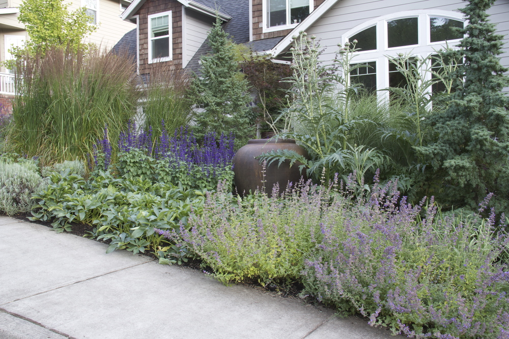  After: informal, breezy plantings wrap the house in layers of texture and color. 