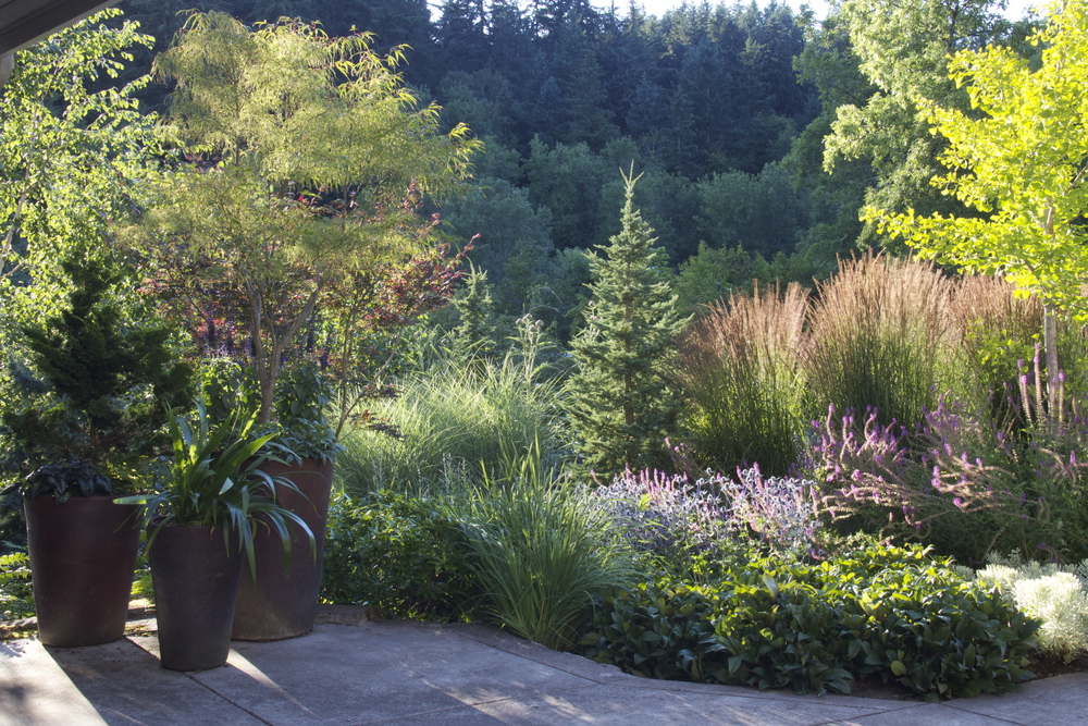  After: plantings with varied height, texture and color embrace the entry and lead the eye into the borrowed view of the hills beyond. 