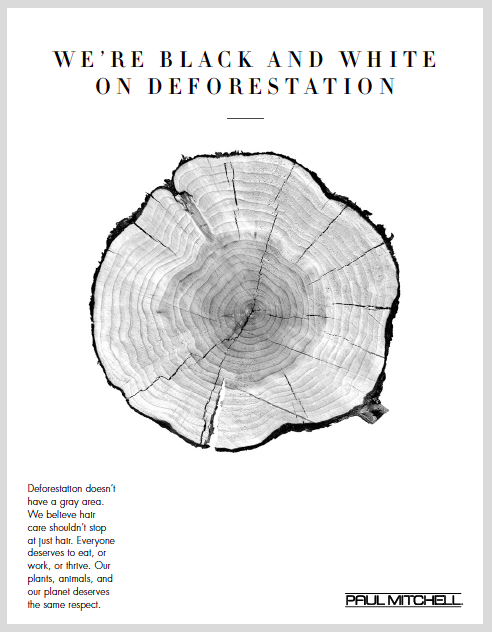 Screen Shot 2016-06-20 at 10.26.20 AM.png