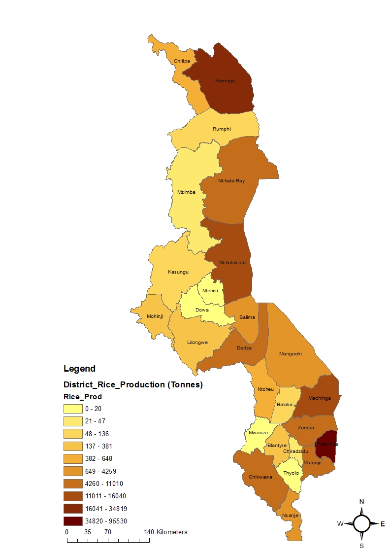 District Rice Production