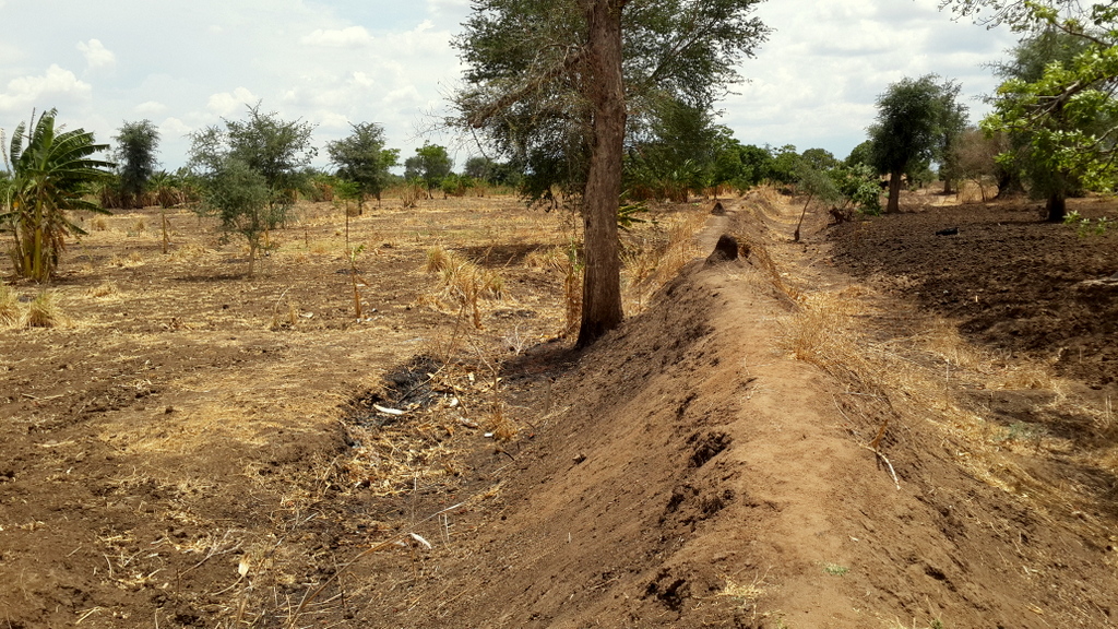 DRR evaluation C12 flood risk