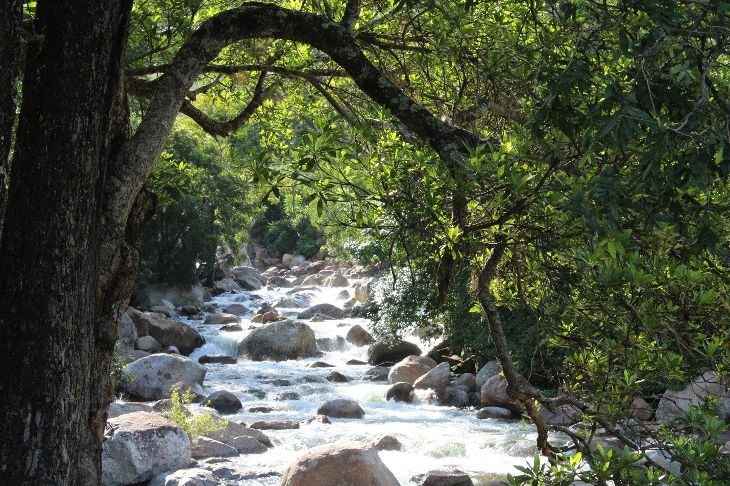 Environmental &amp; Social Impact Assessment- Mpatamanga Hydropower Project