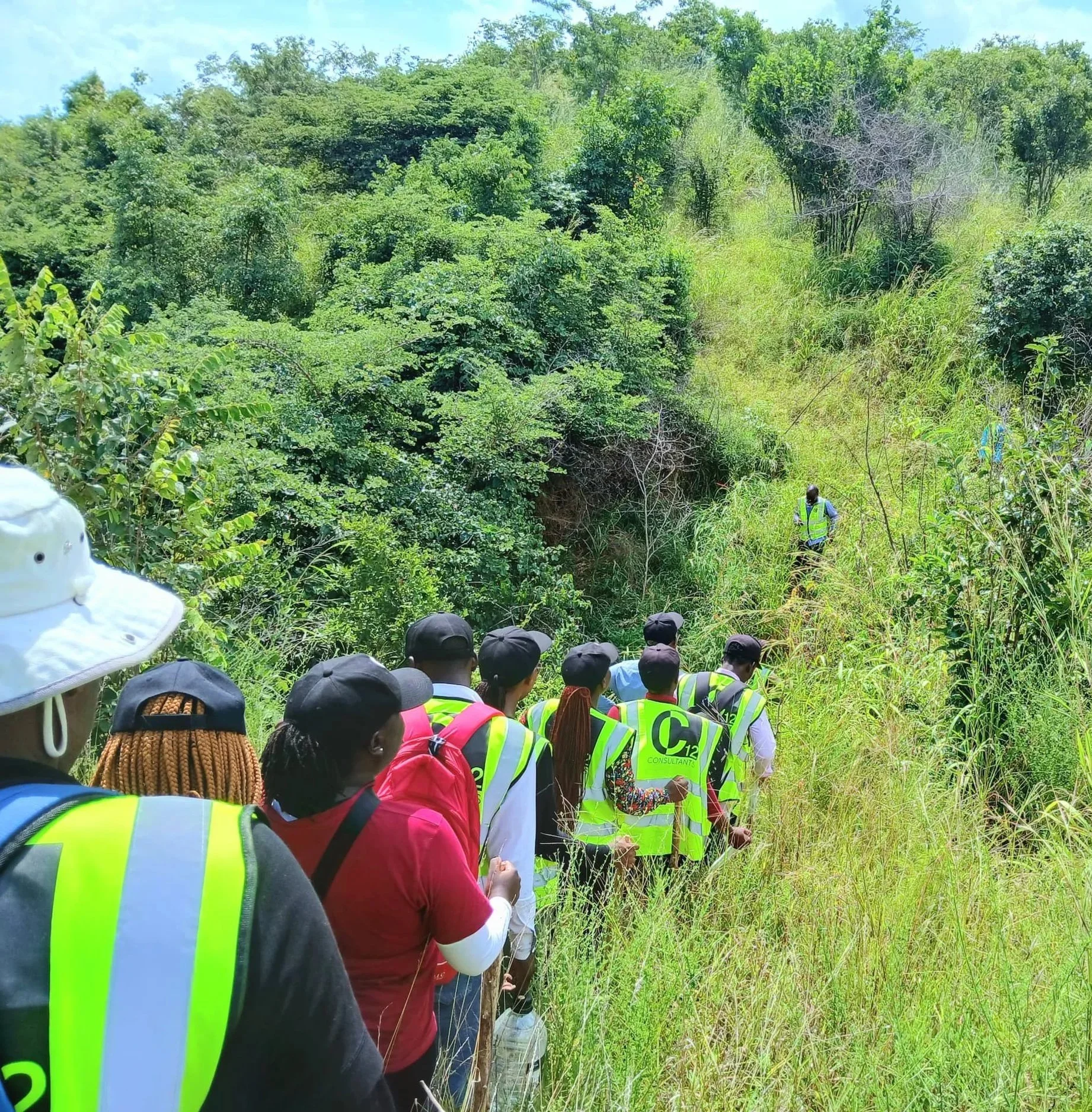 A line of people wearing neon yellow safety vests and hats hikes single-file through a narrow, grassy trail surrounded by dense green vegetation and trees.
