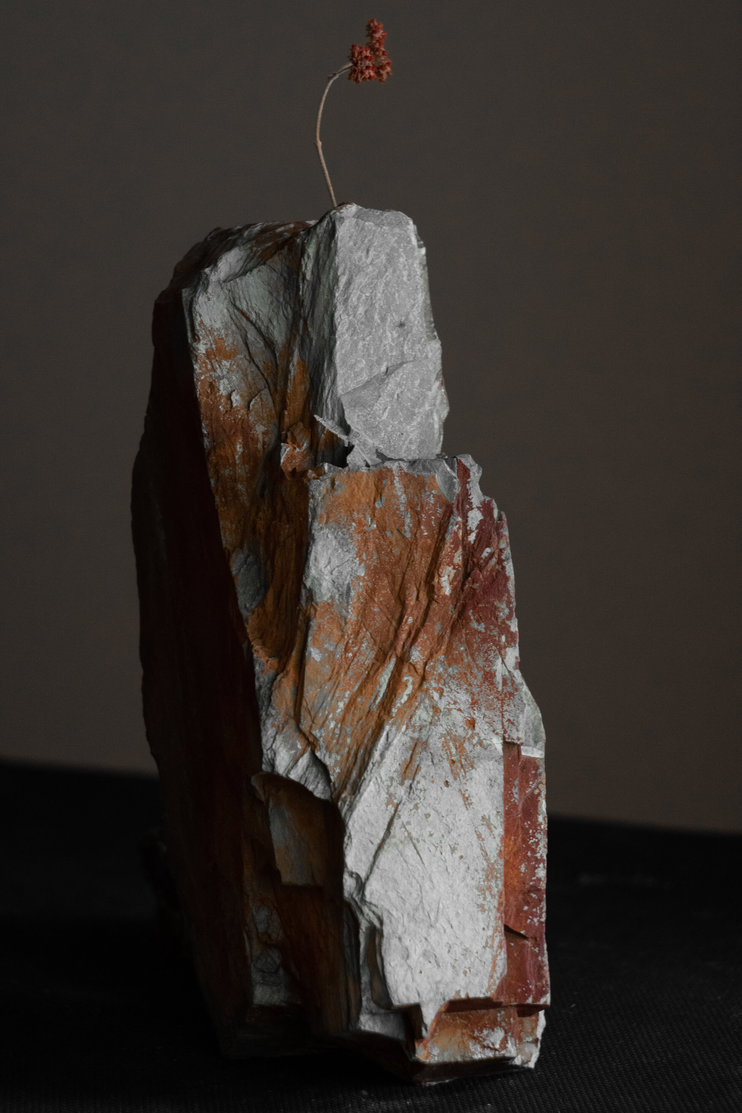 Image-4.jpg
