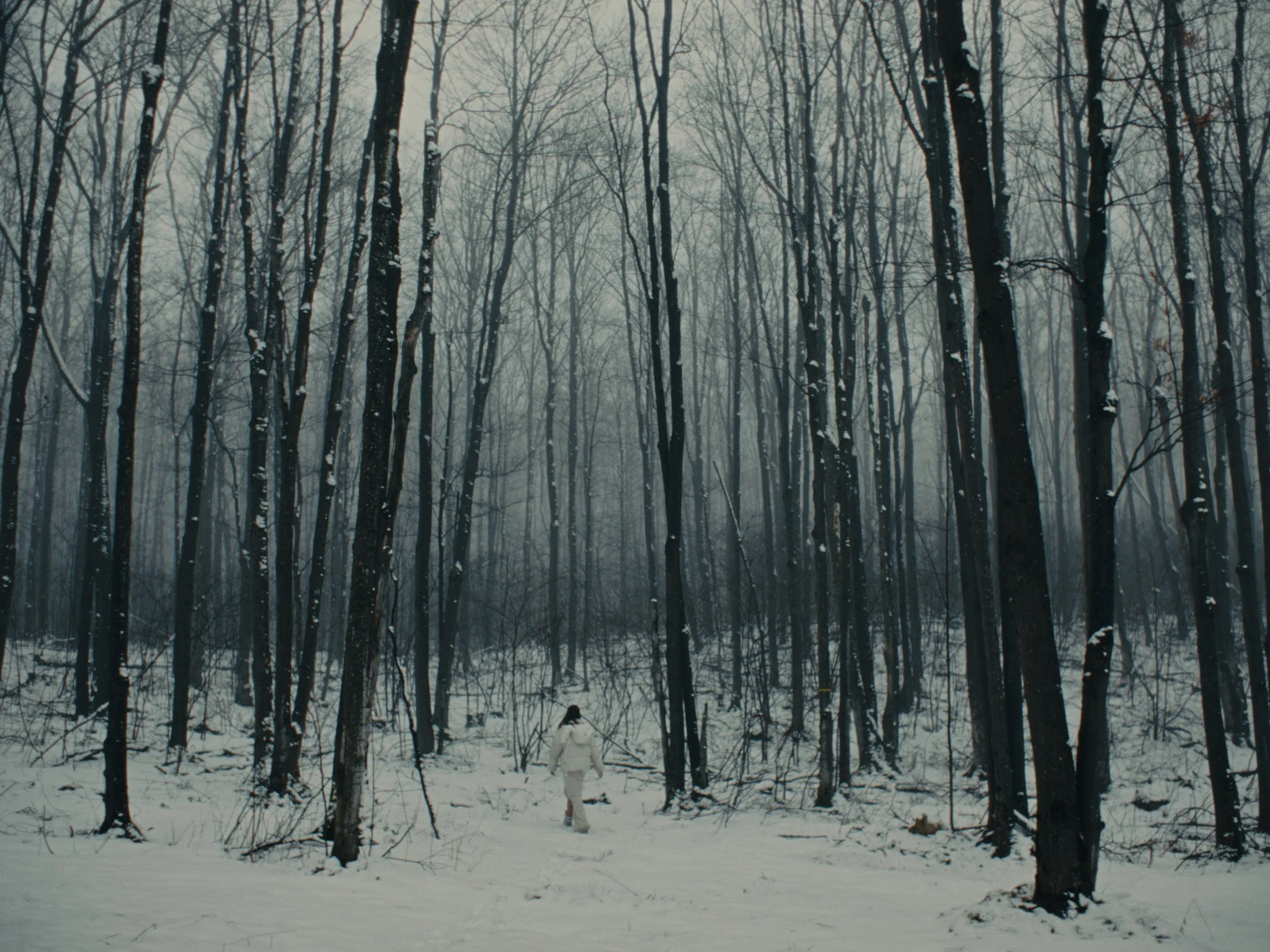 innerlandscapes_1.7.3.jpg