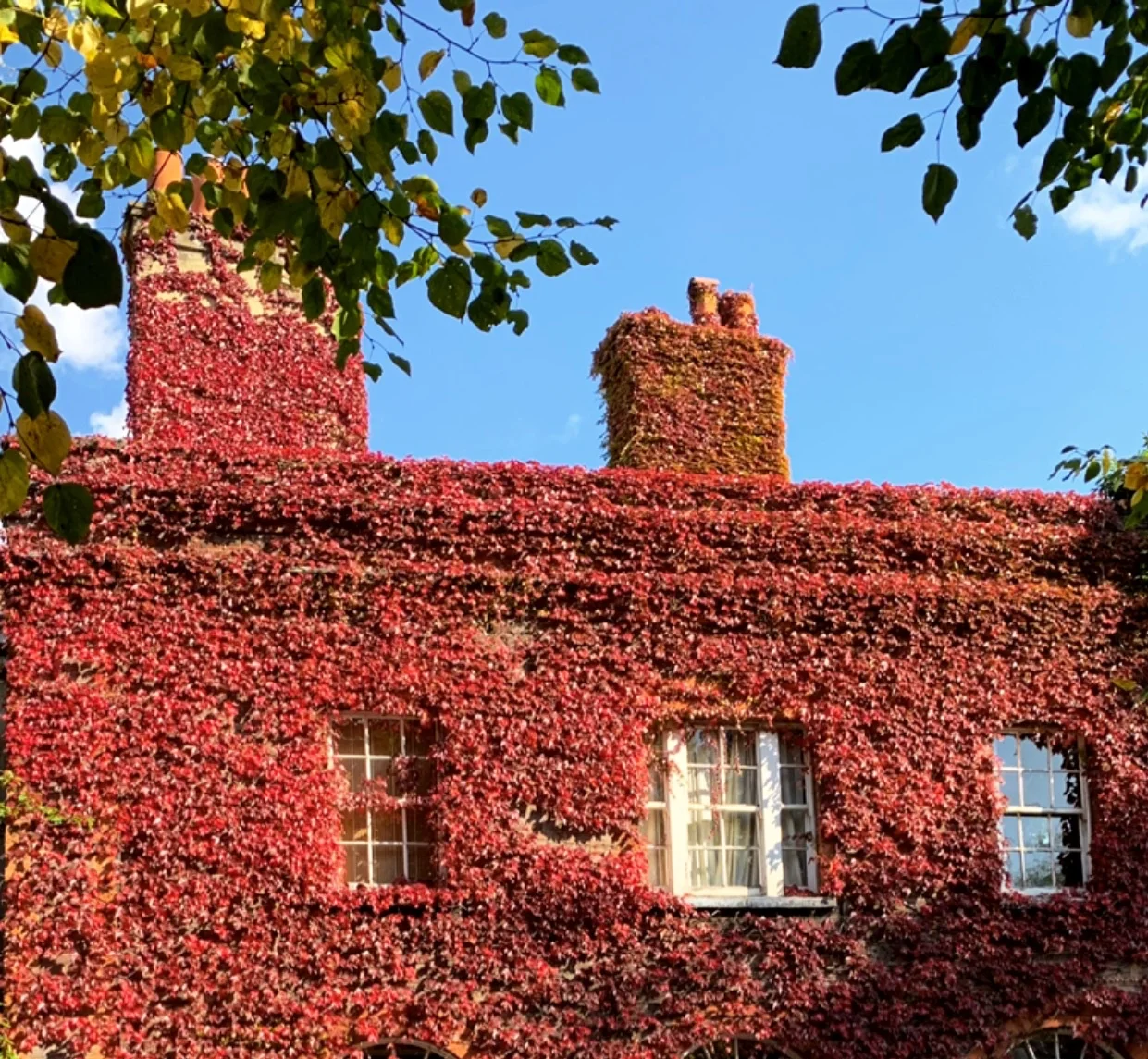 London, Autumn 2019