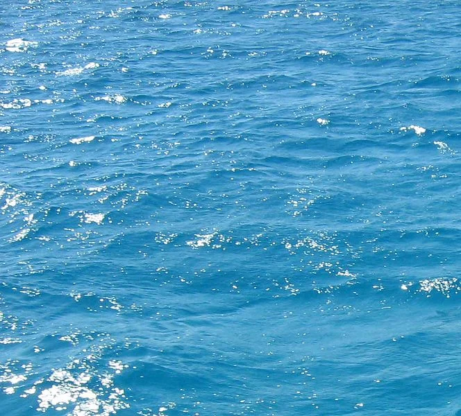 Source: Wikimedia Commons