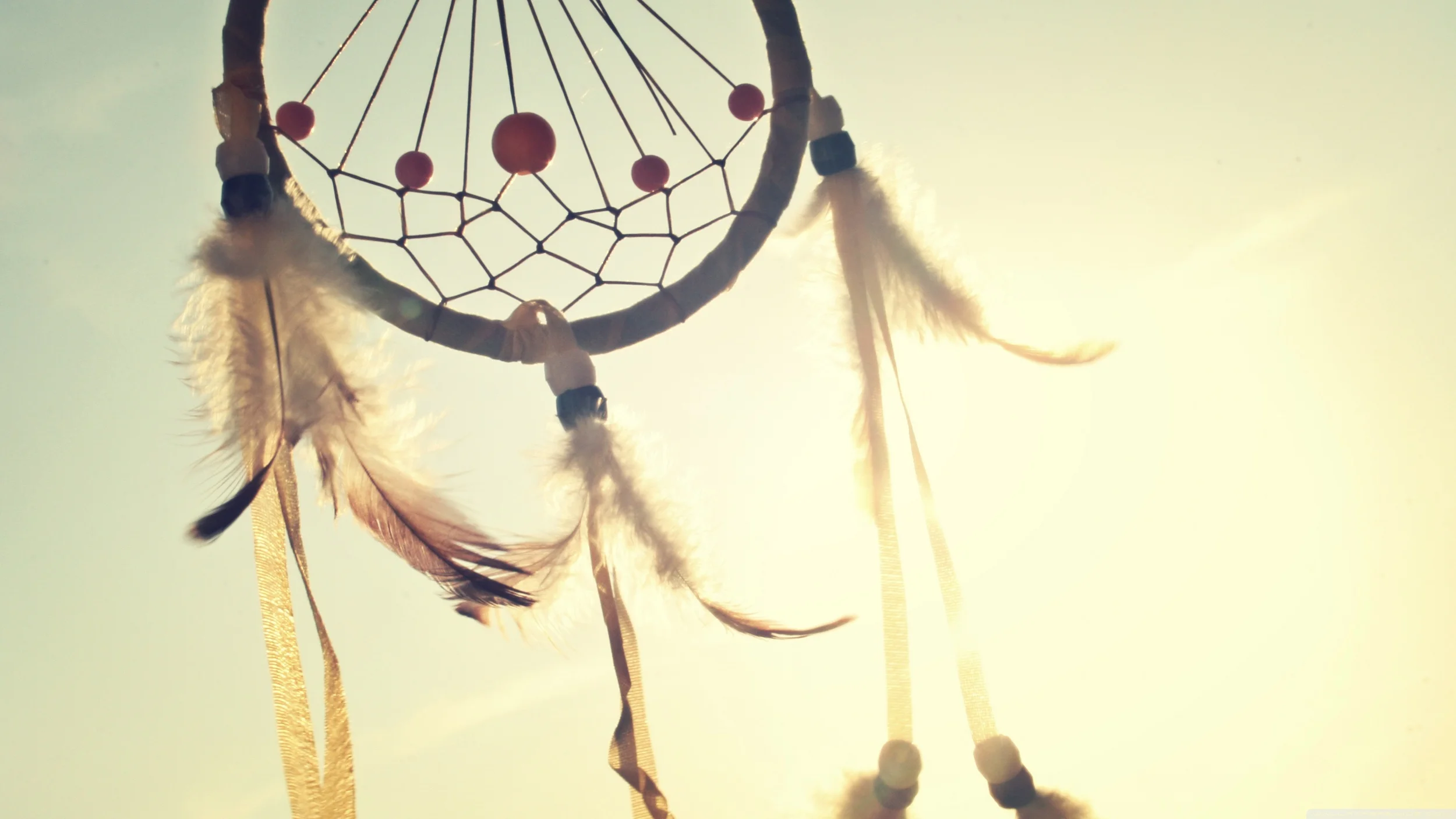 A dream come true... Source: unsplash