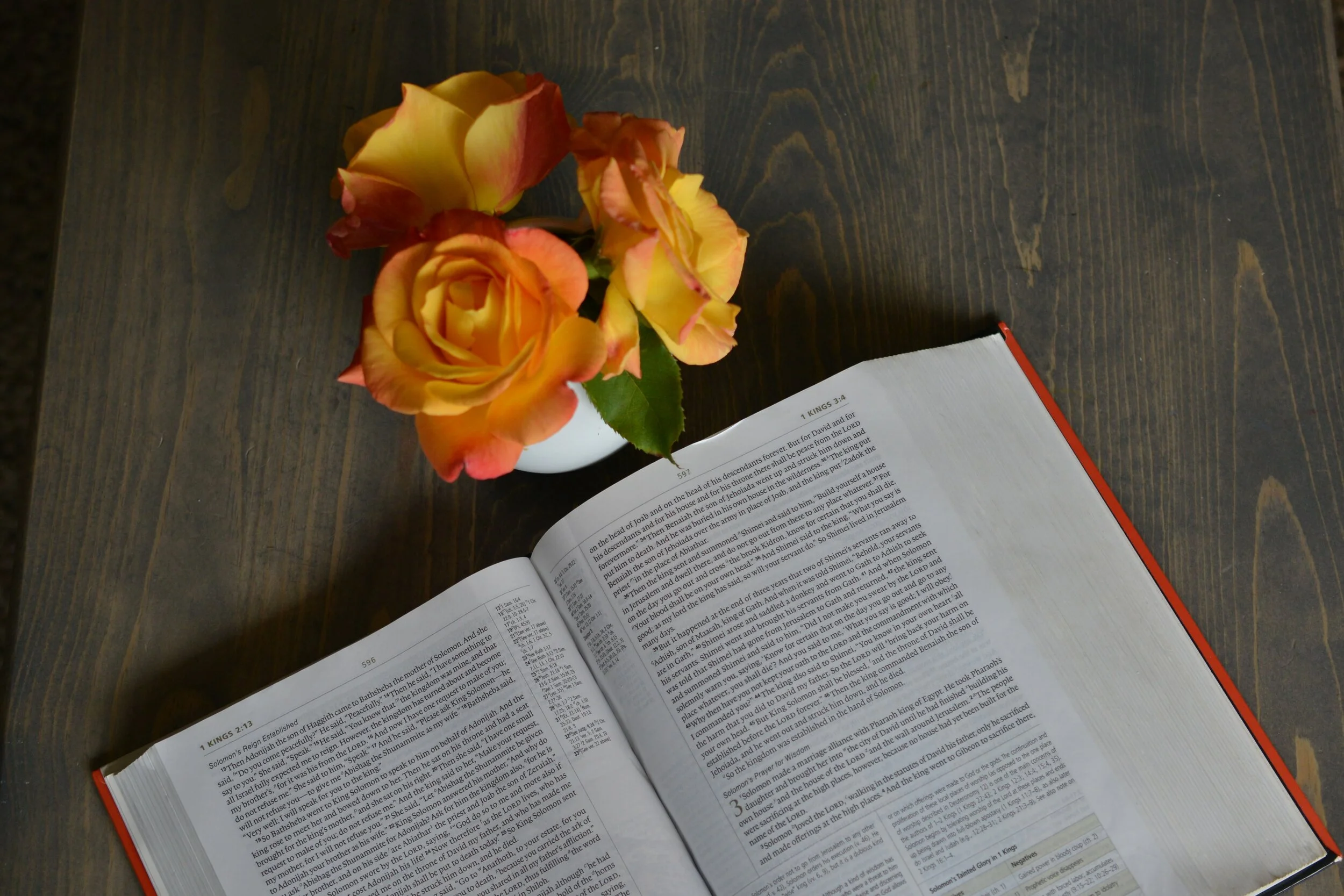 Get Book Recommendations for the Lit Lovers in Your Life!