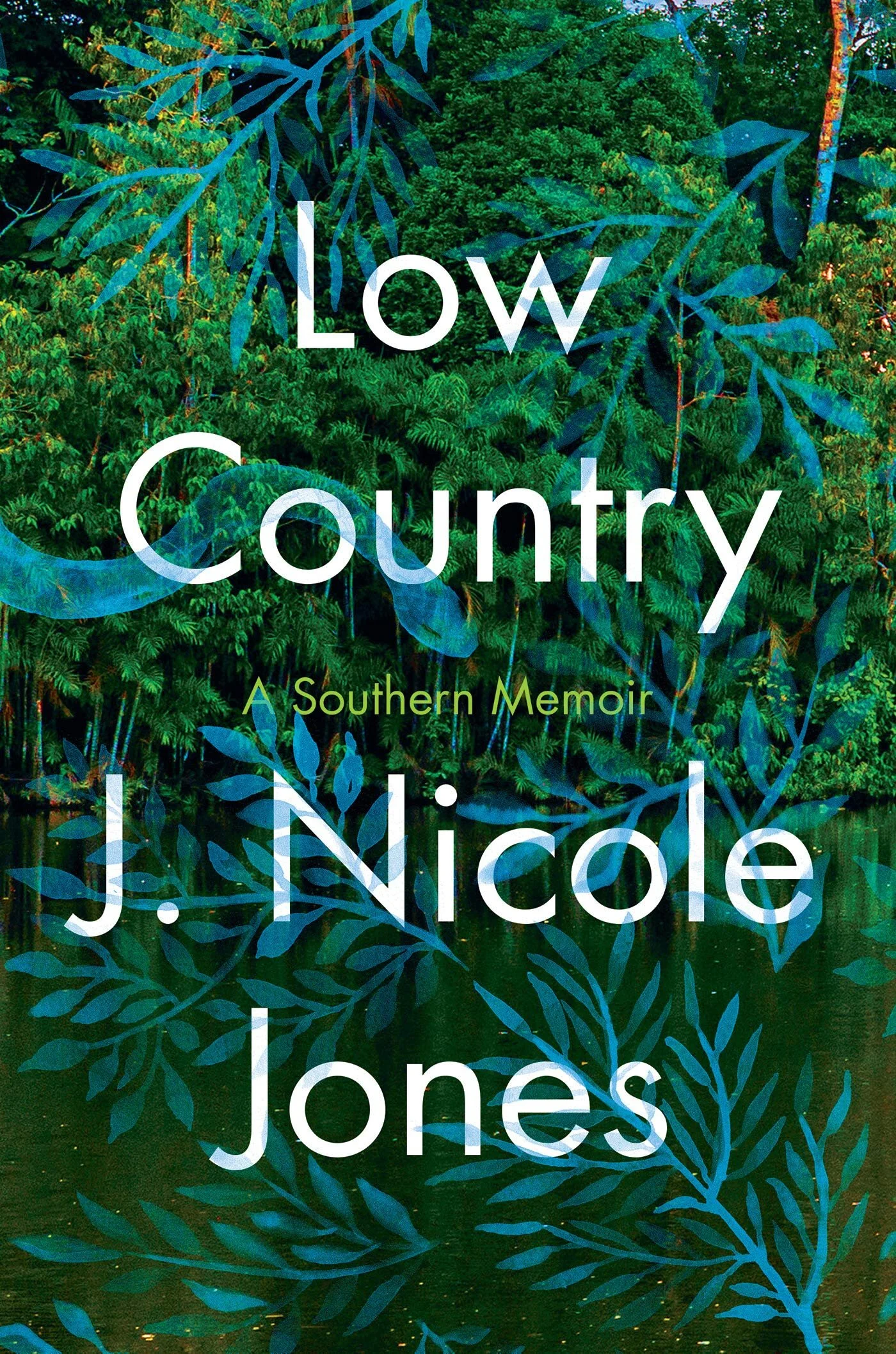Hot Off the Shelf: Low Country: A Southern Memoir by J. Nicole Jones