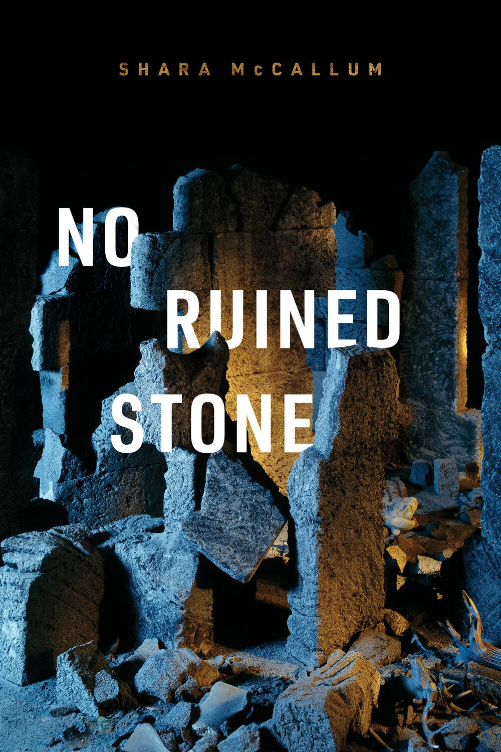 Hot Off the Shelf: No Ruined Stone by Shara McCallum