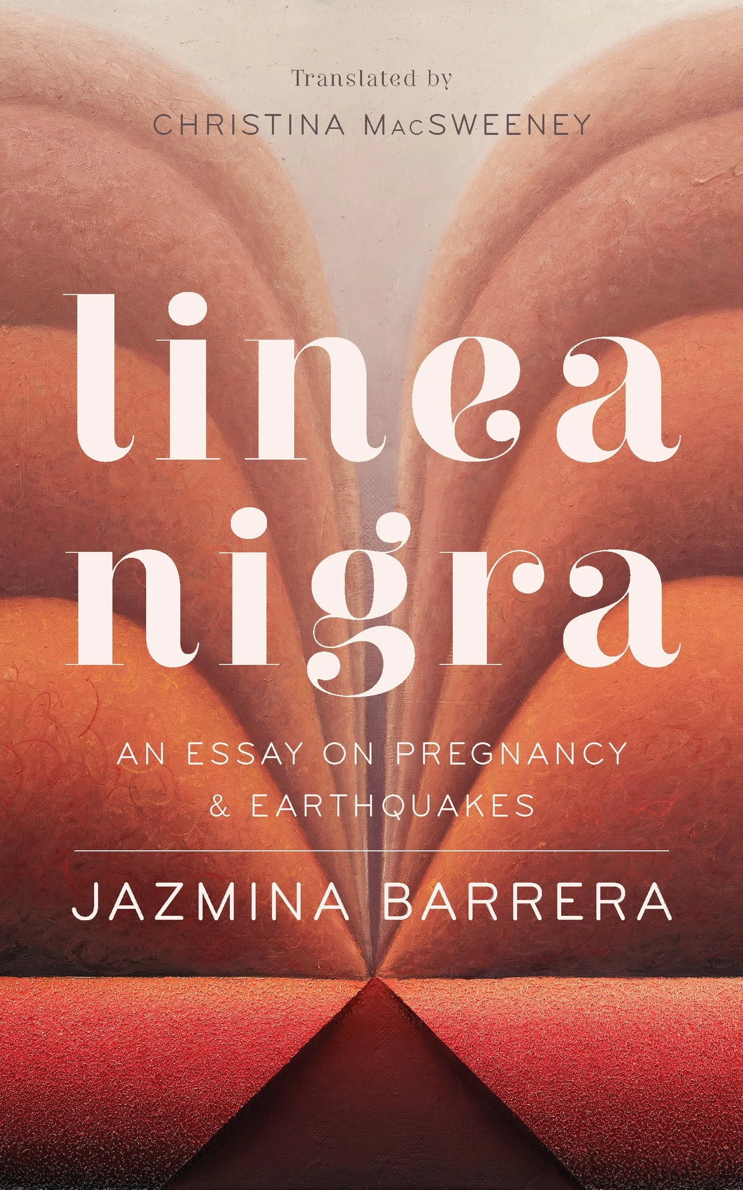 Hot Off the Shelf: Linea Nigra by Jazmina Barrera