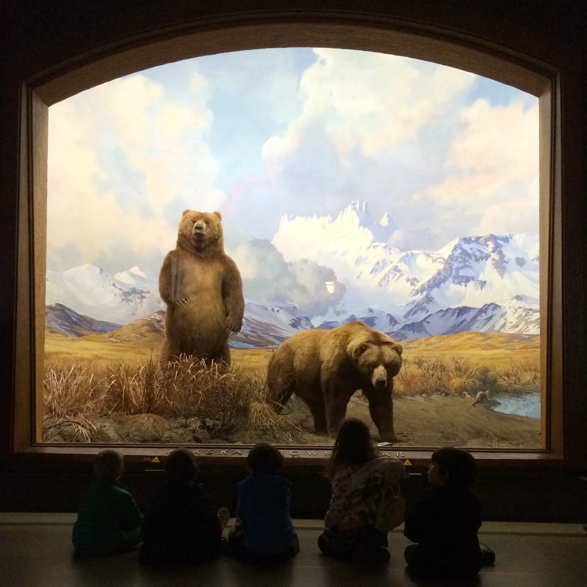 Field trip to the Natural History Museum