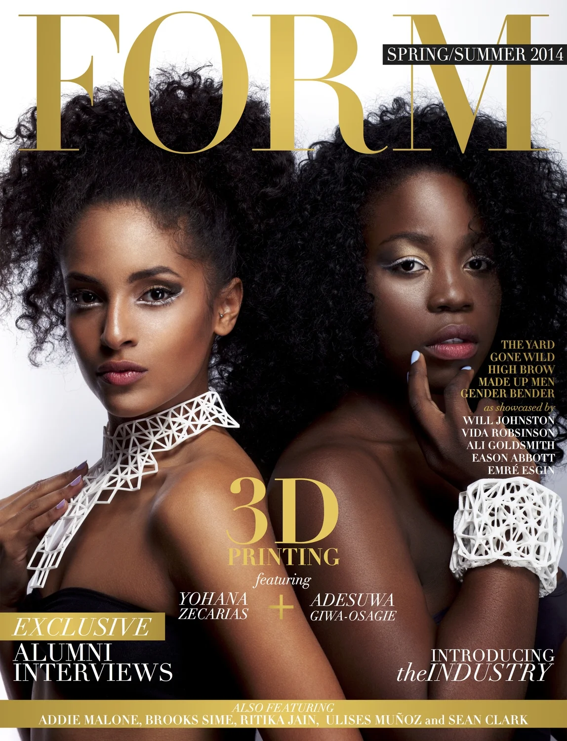 FORMcover.jpg