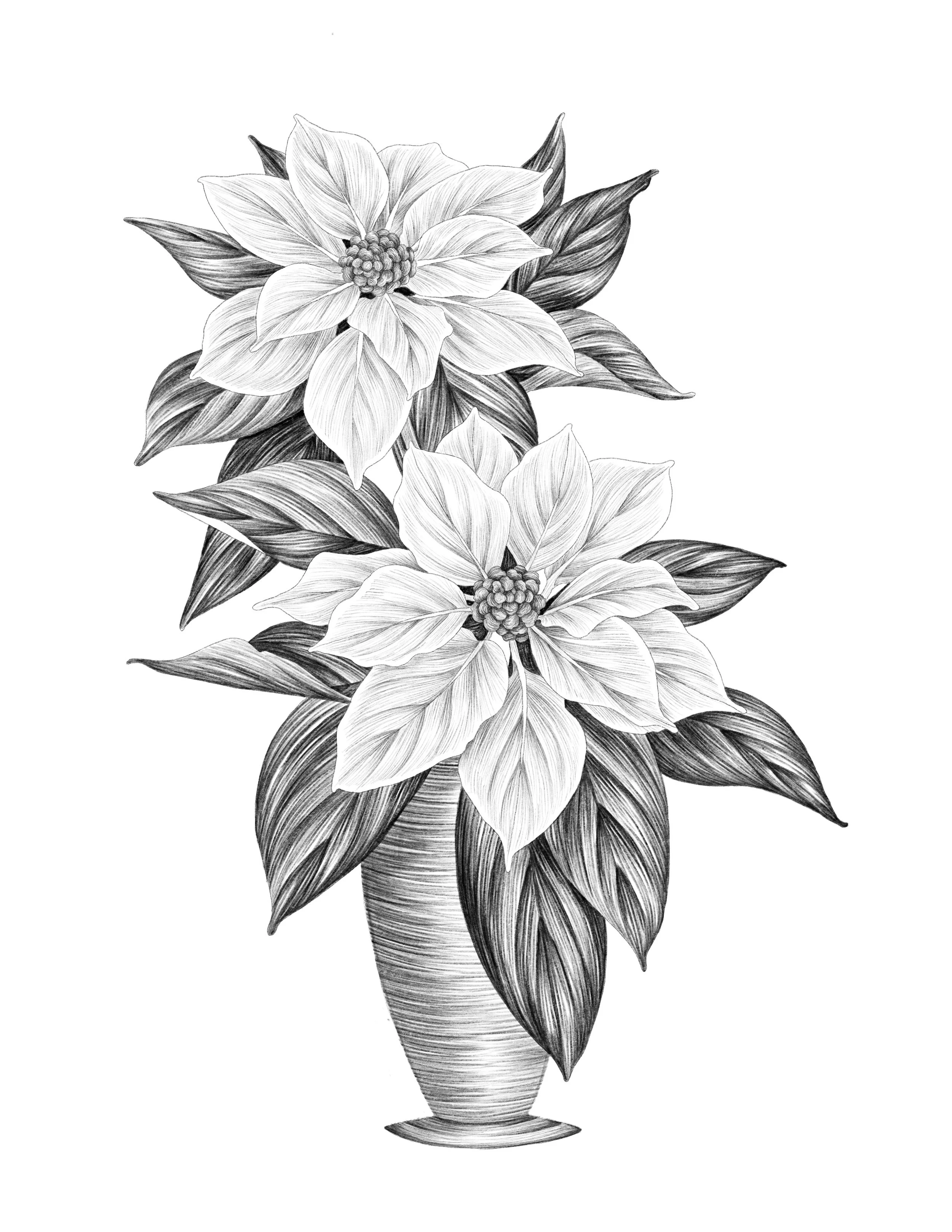 Digital Painting; Procreate