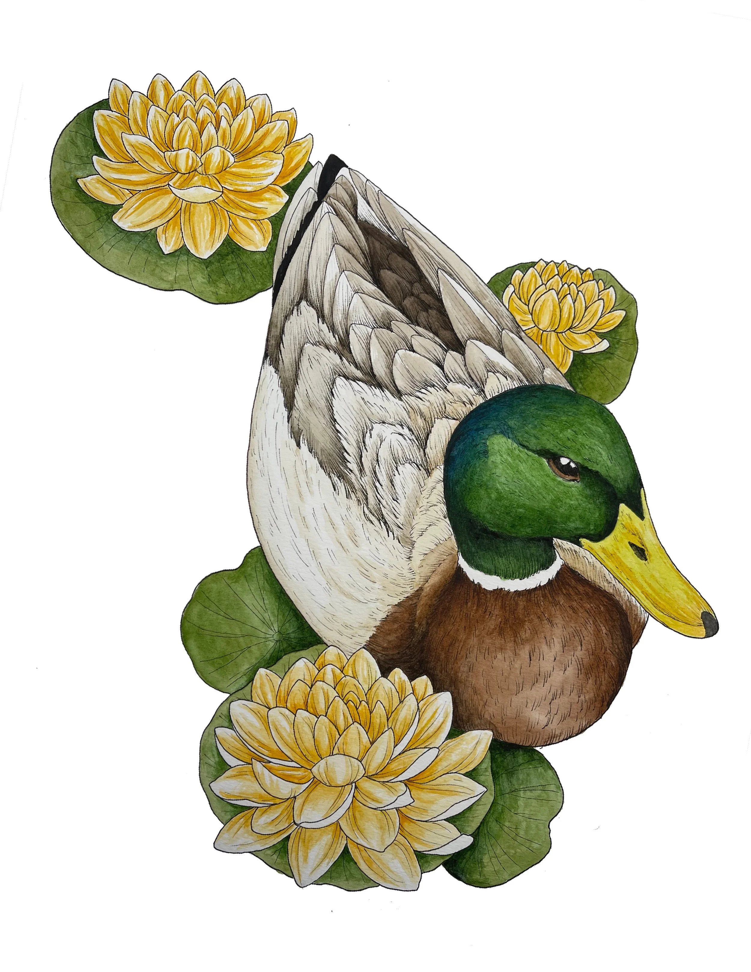 Pen & Ink; Gouache; Watercolor