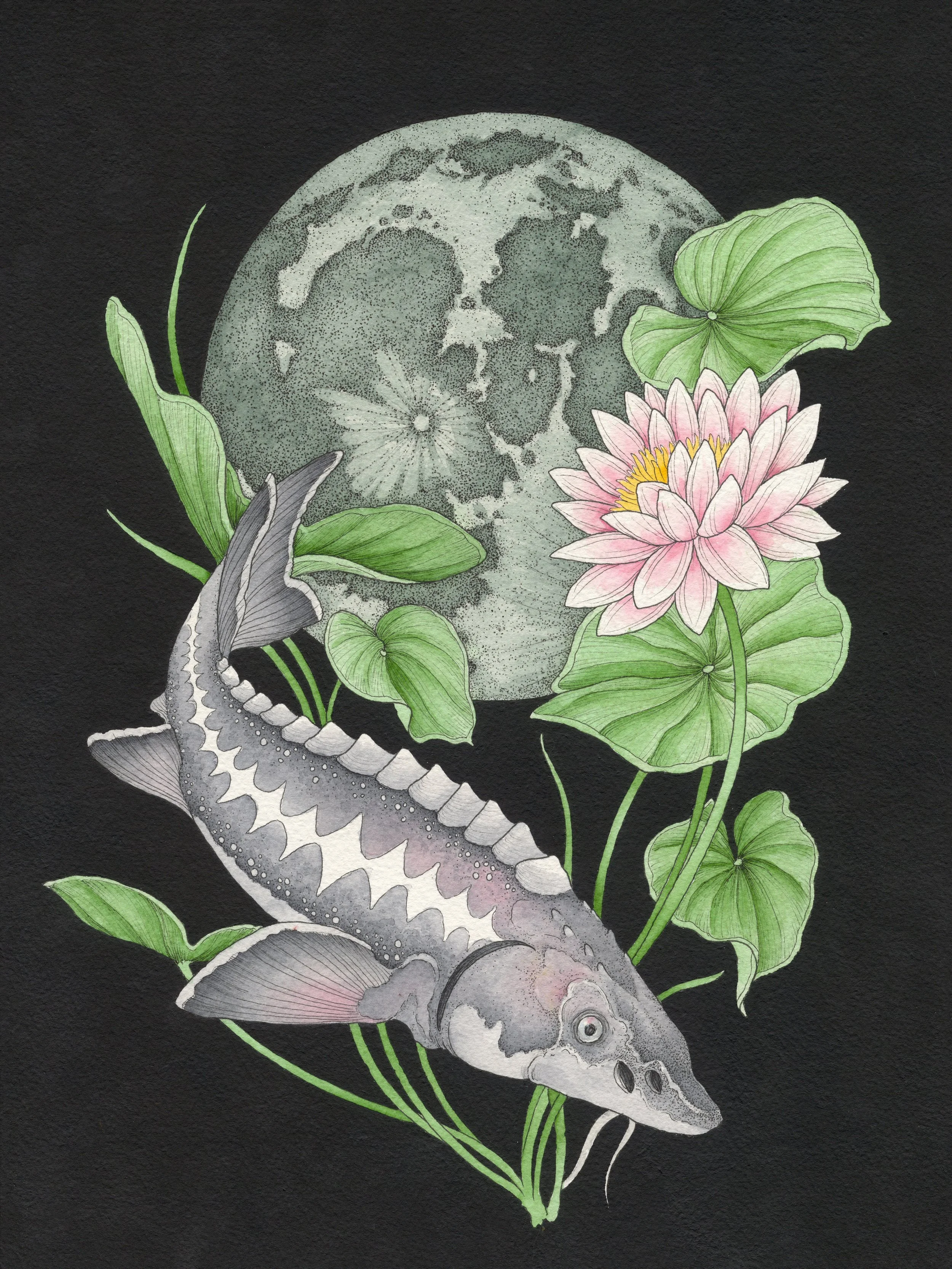 "Full Sturgeon Moon" Pen & Ink; Gouache; Watercolor