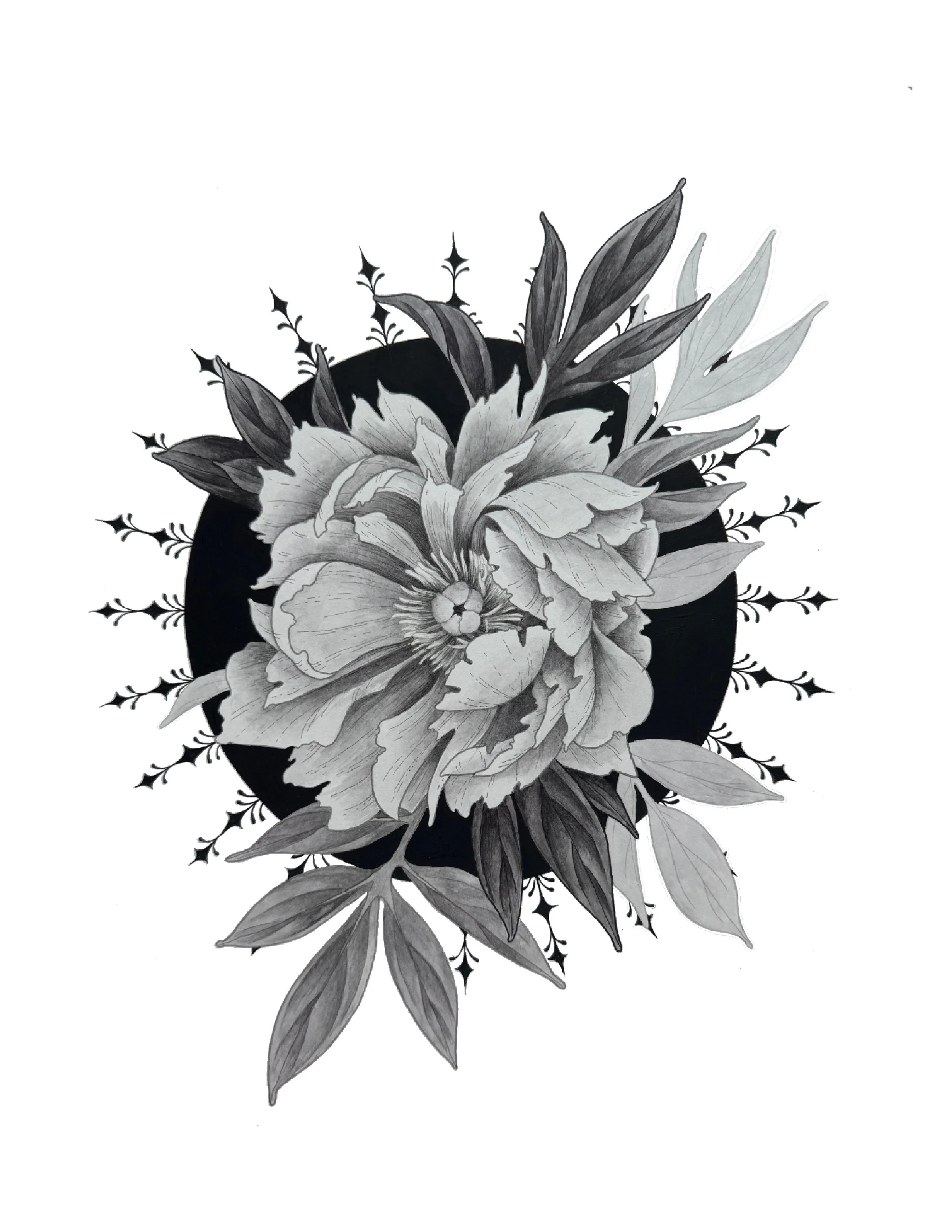 Untitled_Artwork 23 copy.jpg