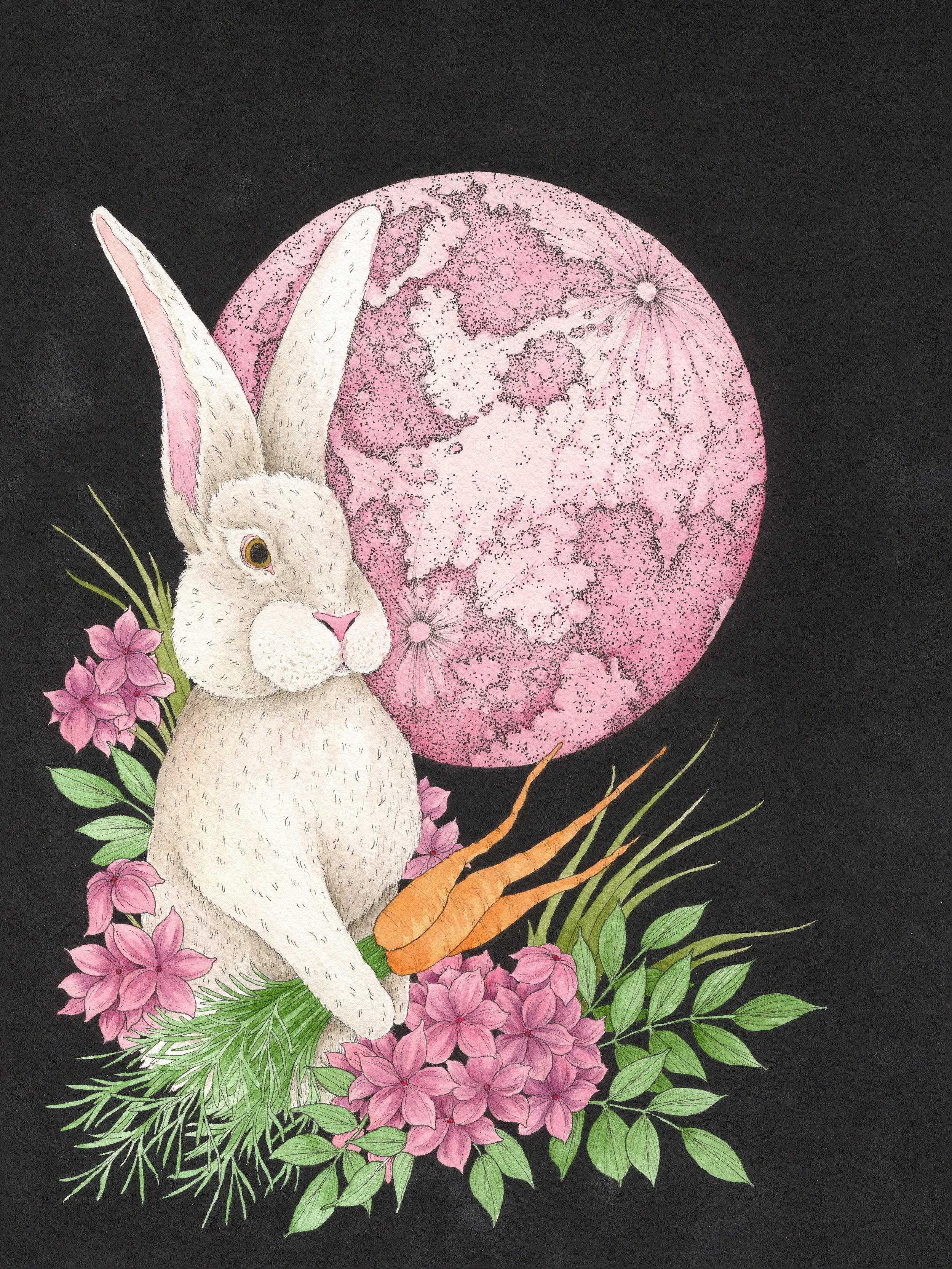 "Full Pink Moon" Pen & Ink; Gouache; Watercolor