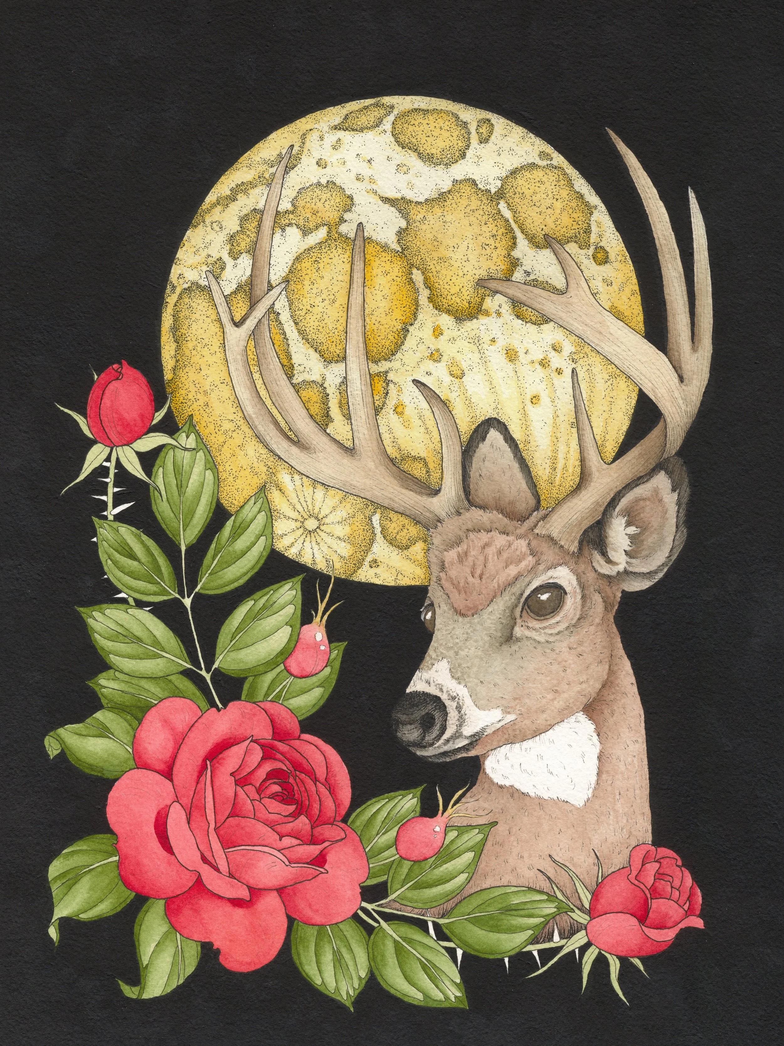 "Full Buck Moon" Pen & Ink; Gouache; Watercolor
