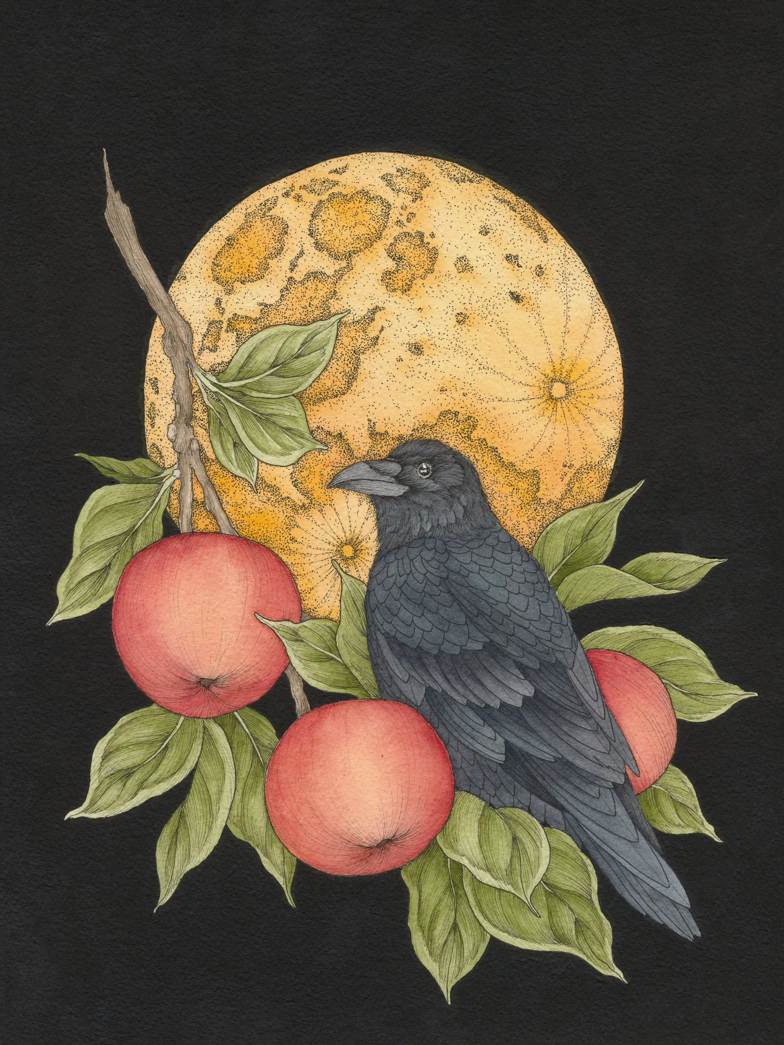 "Full Harvest Moon" Pen & Ink; Gouache; Watercolor