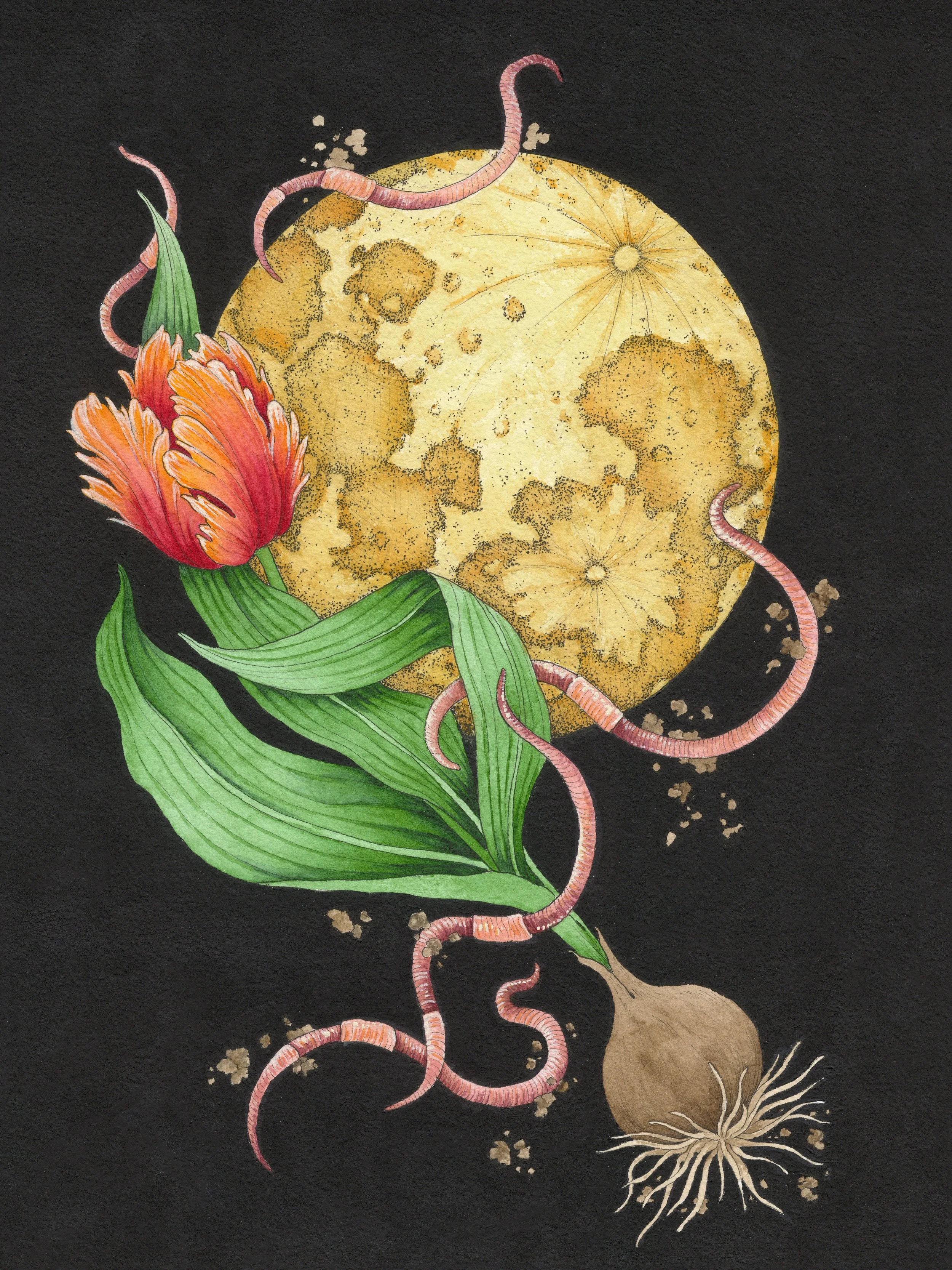 "Full Worm Moon" Pen & Ink; Gouache; Watercolor