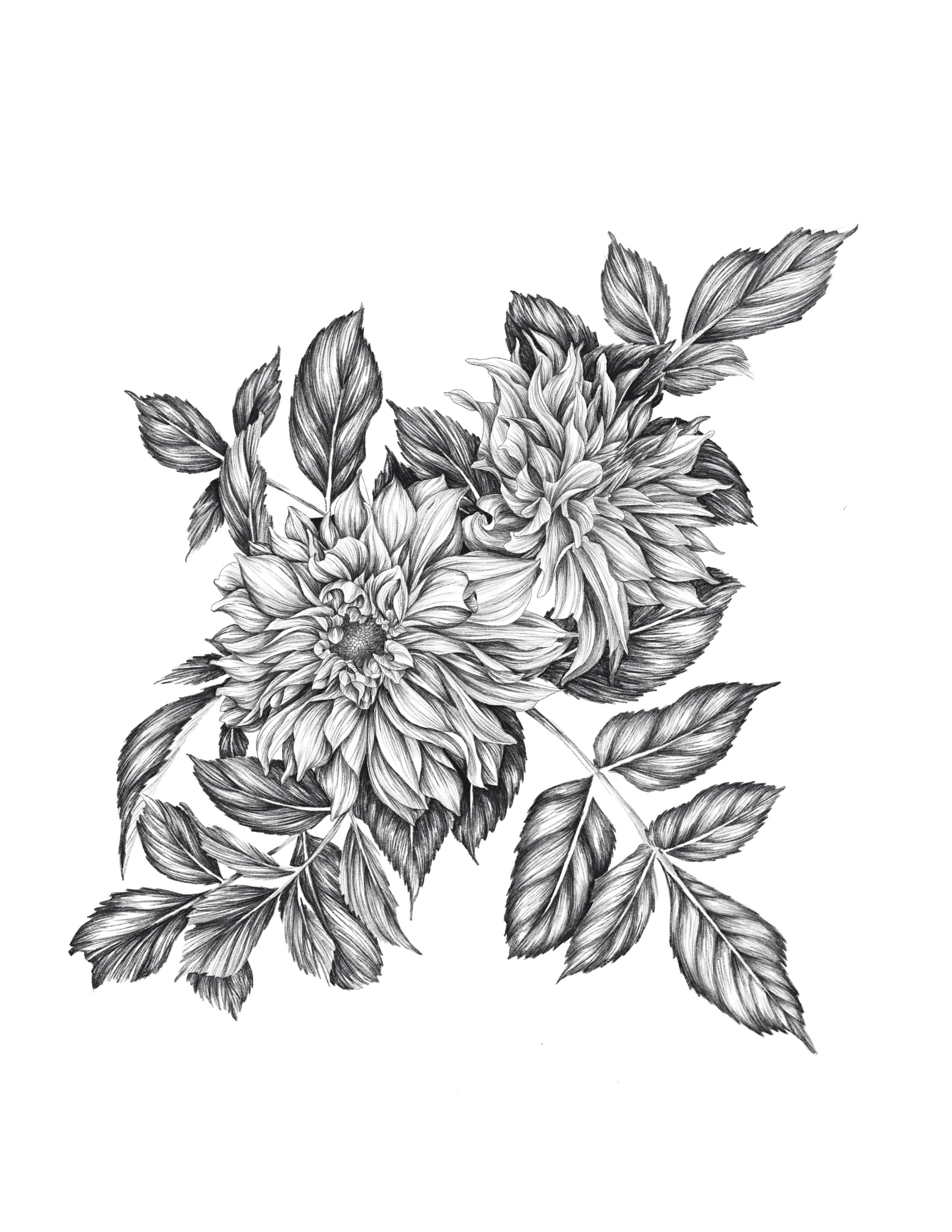 Digital Painting; Procreate