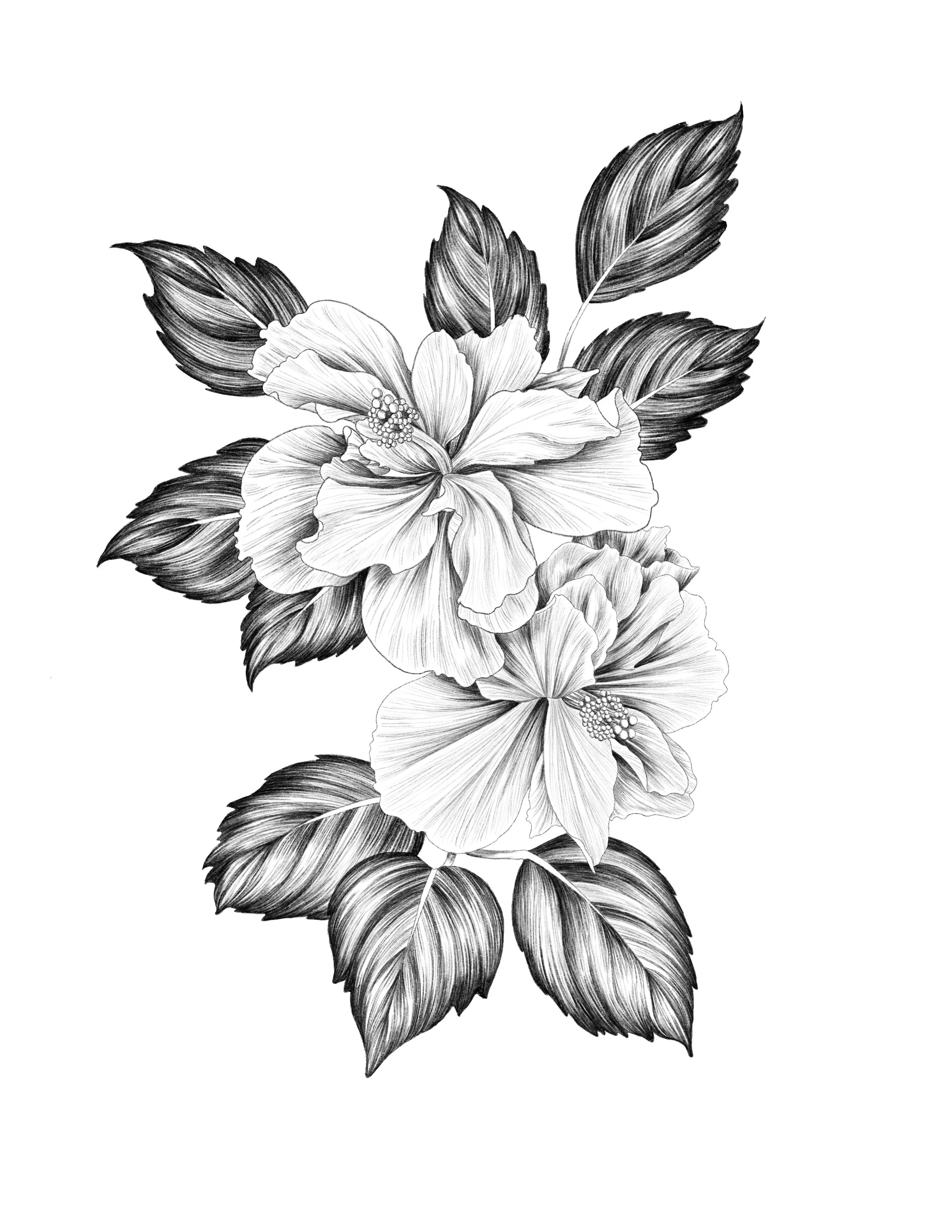 Digital Painting; Procreate