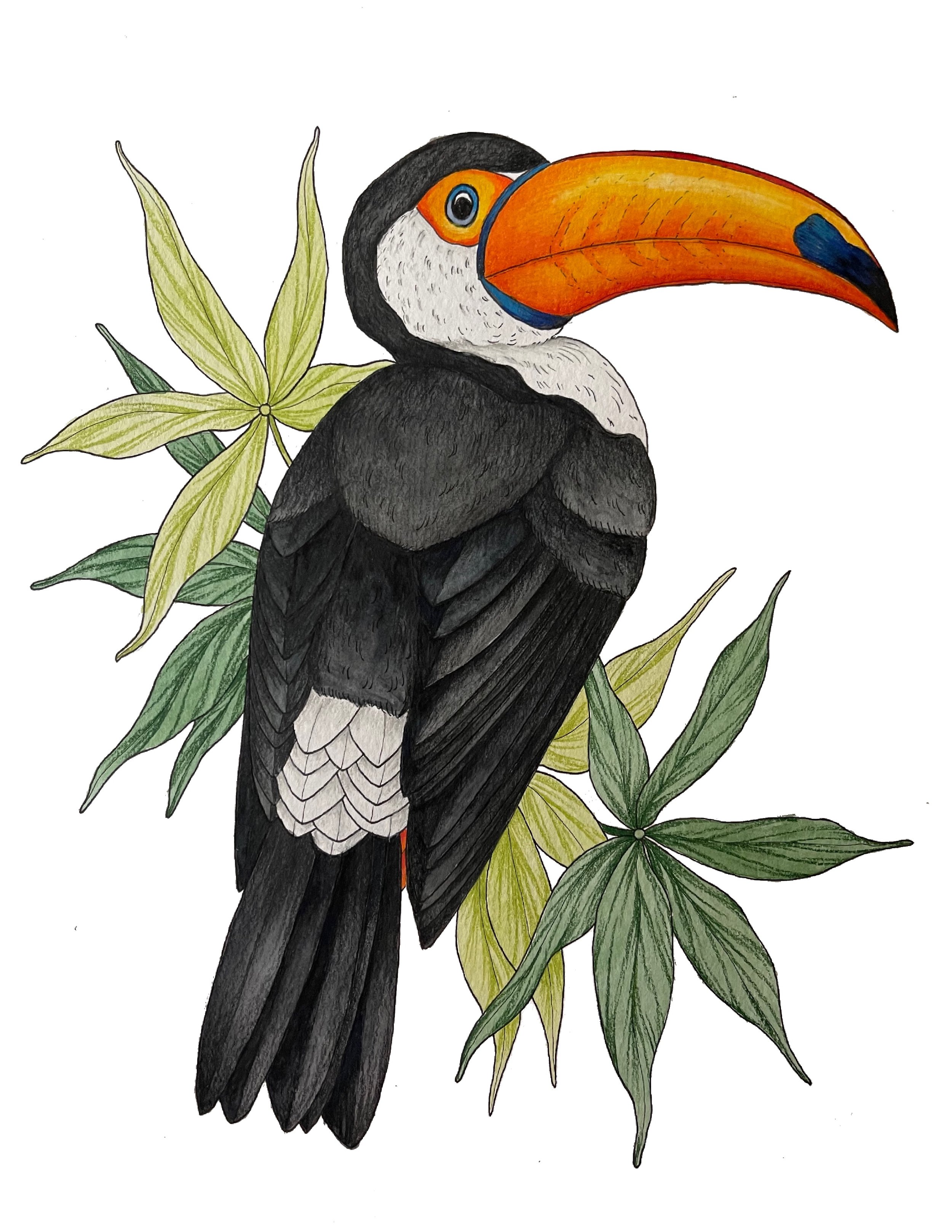 Pen & Ink; Gouache; Watercolor