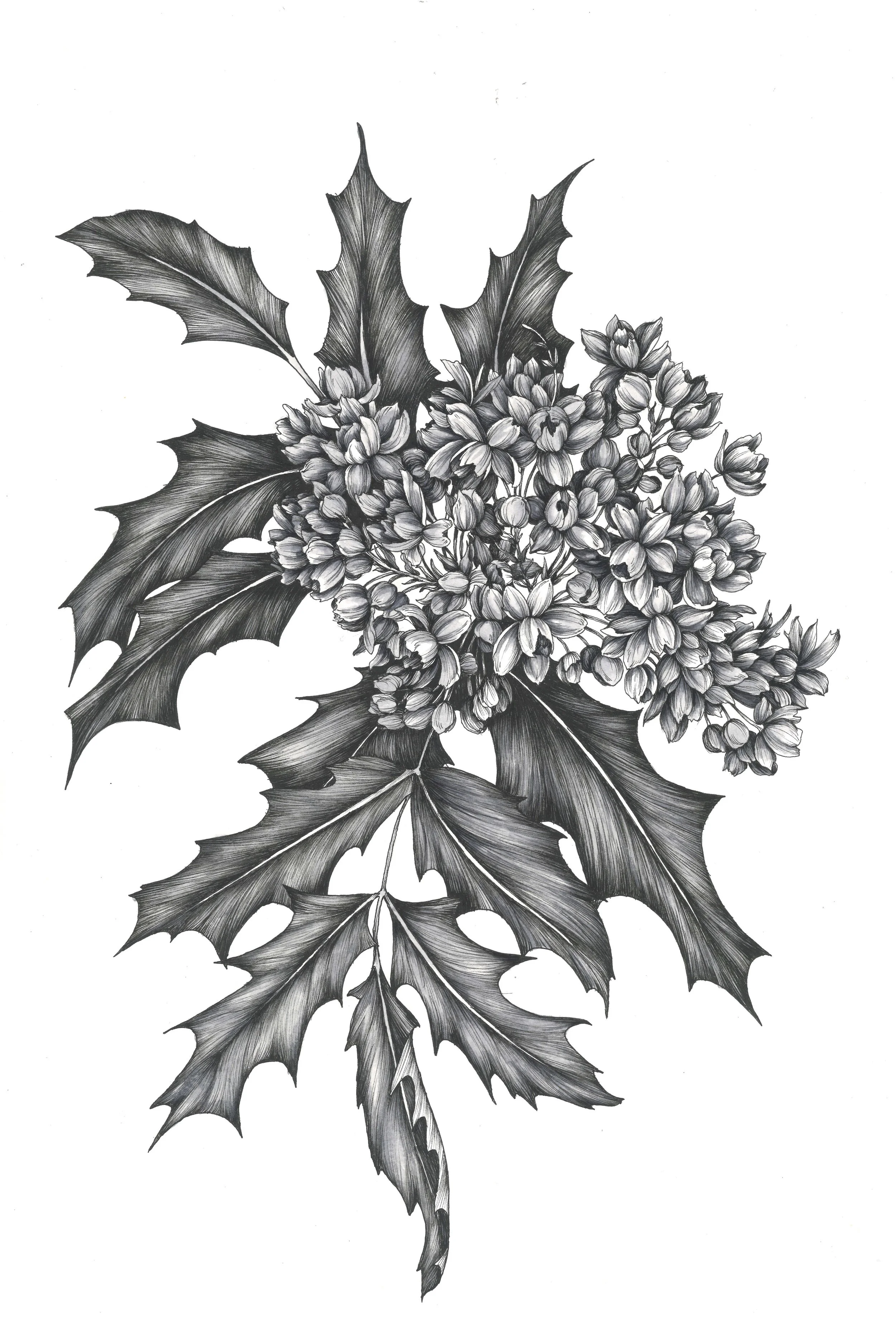 Pen & Ink; Watercolor