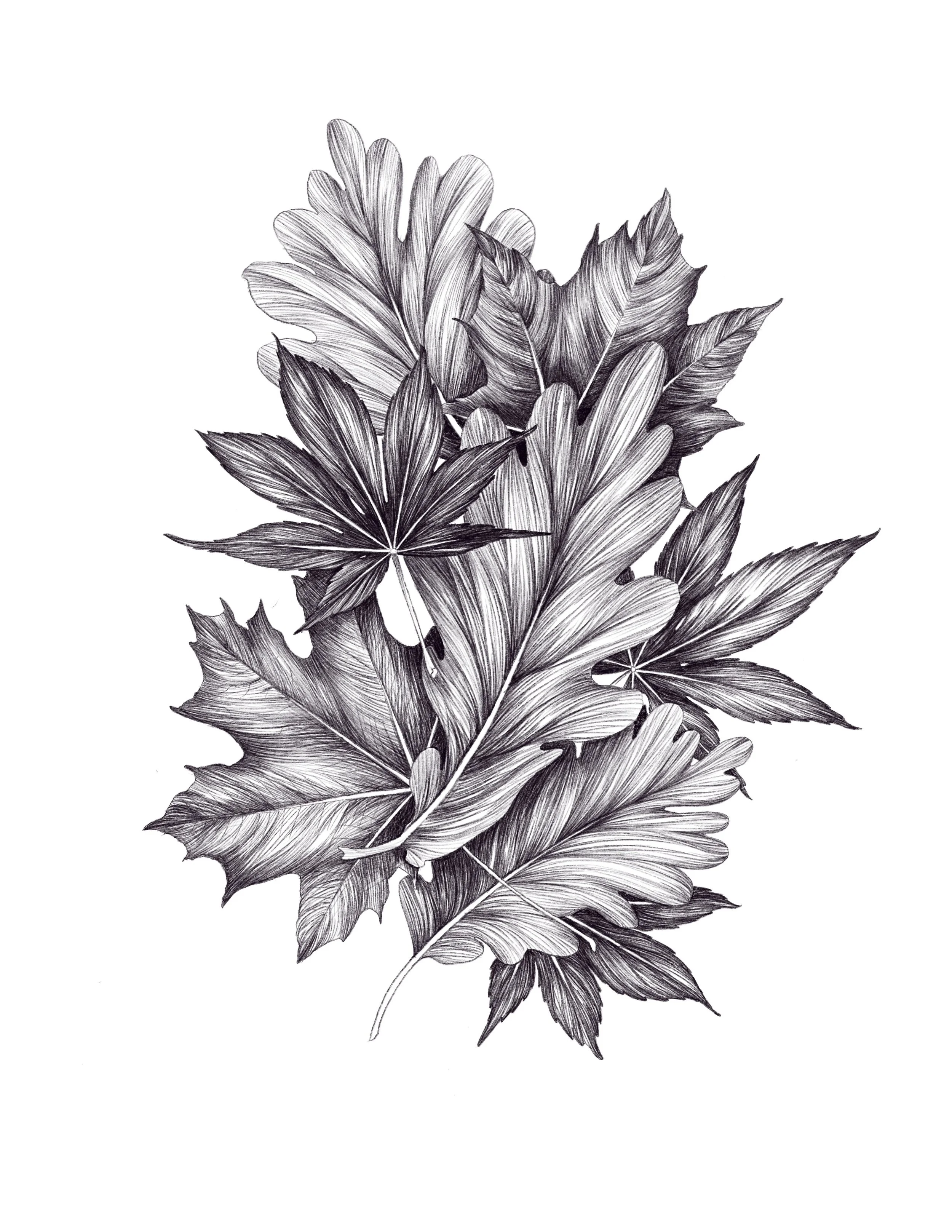 Digital Painting; Procreate