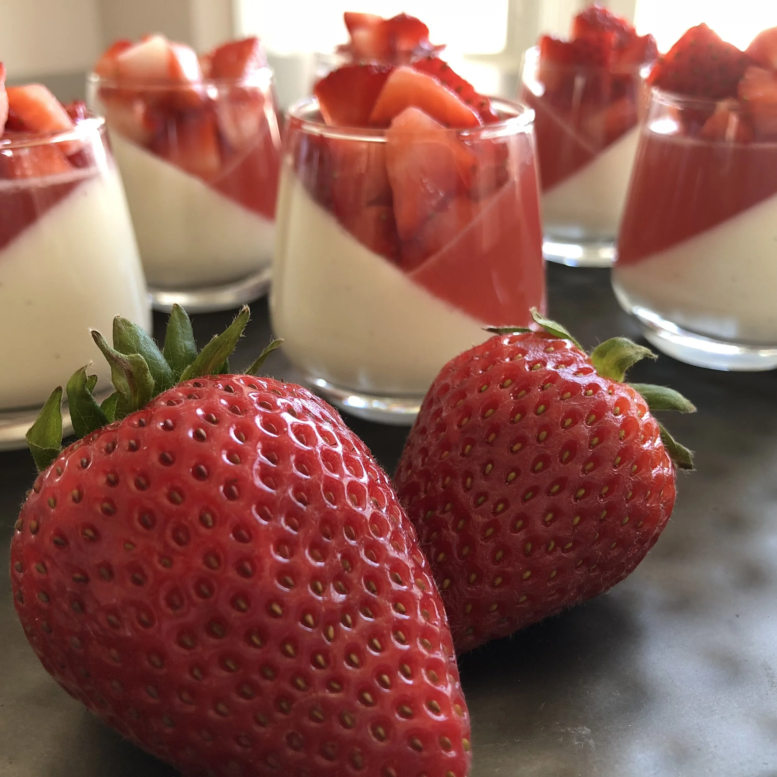 panna cotta + strawberry jelly — moody loon bakehouse