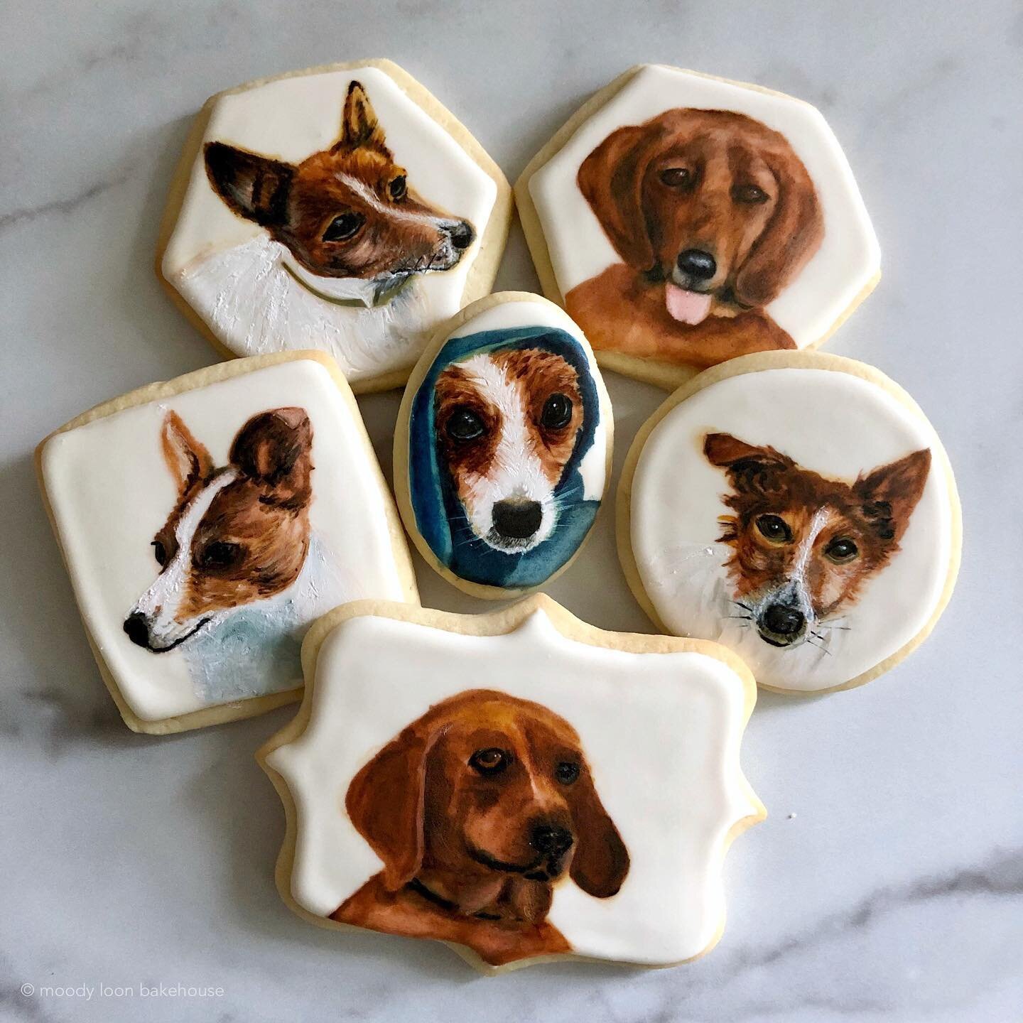 Finished up a batch of painted cookies just in time for National Dog Day! We&rsquo;re thinking getting a dog sometime soonish (shhhh&hellip; don&rsquo;t tell my kids!) because there&rsquo;s a doggie shaped hole in our hearts right now (awwwwww).