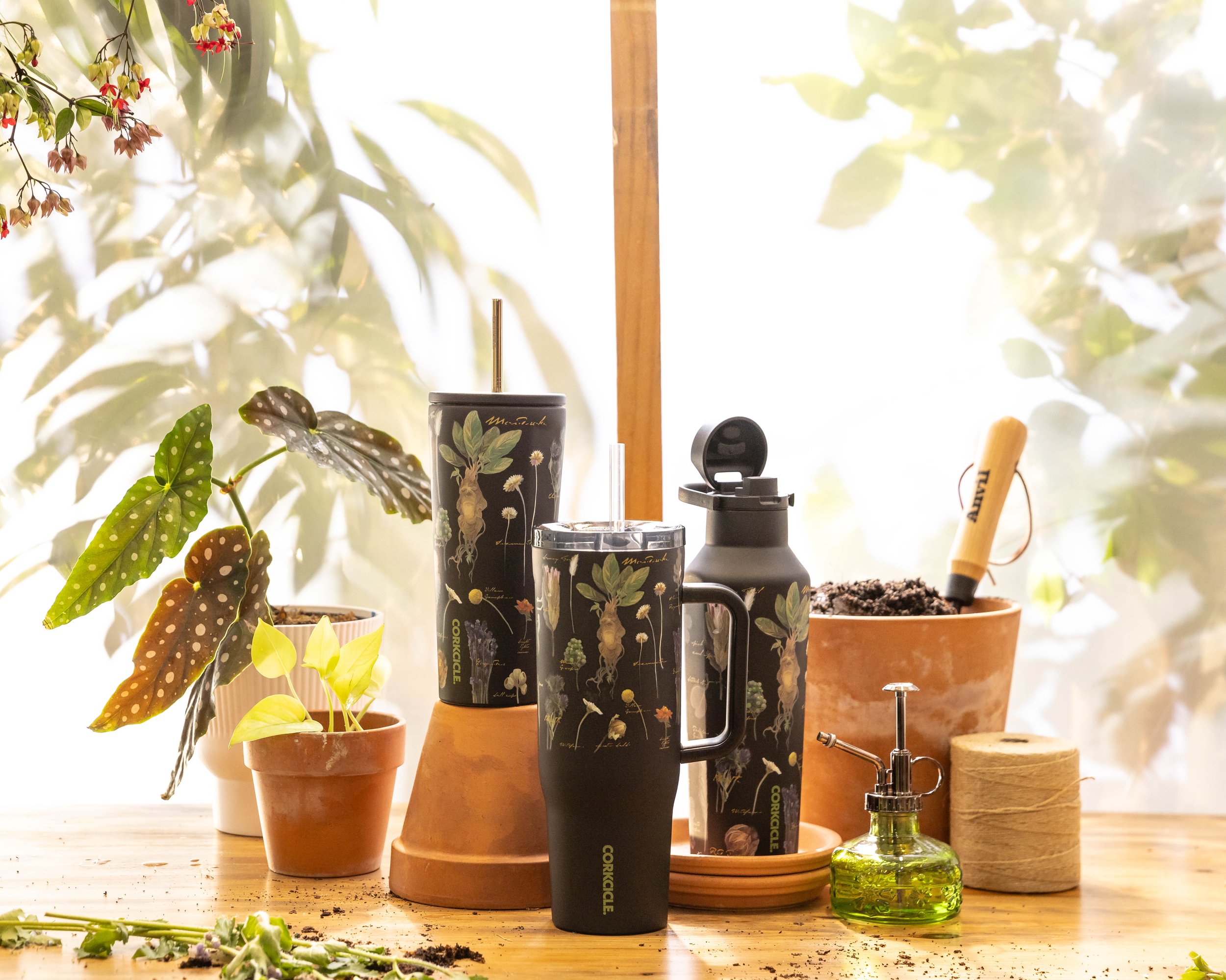 Herbology_Greenhouse_LAB010.jpg