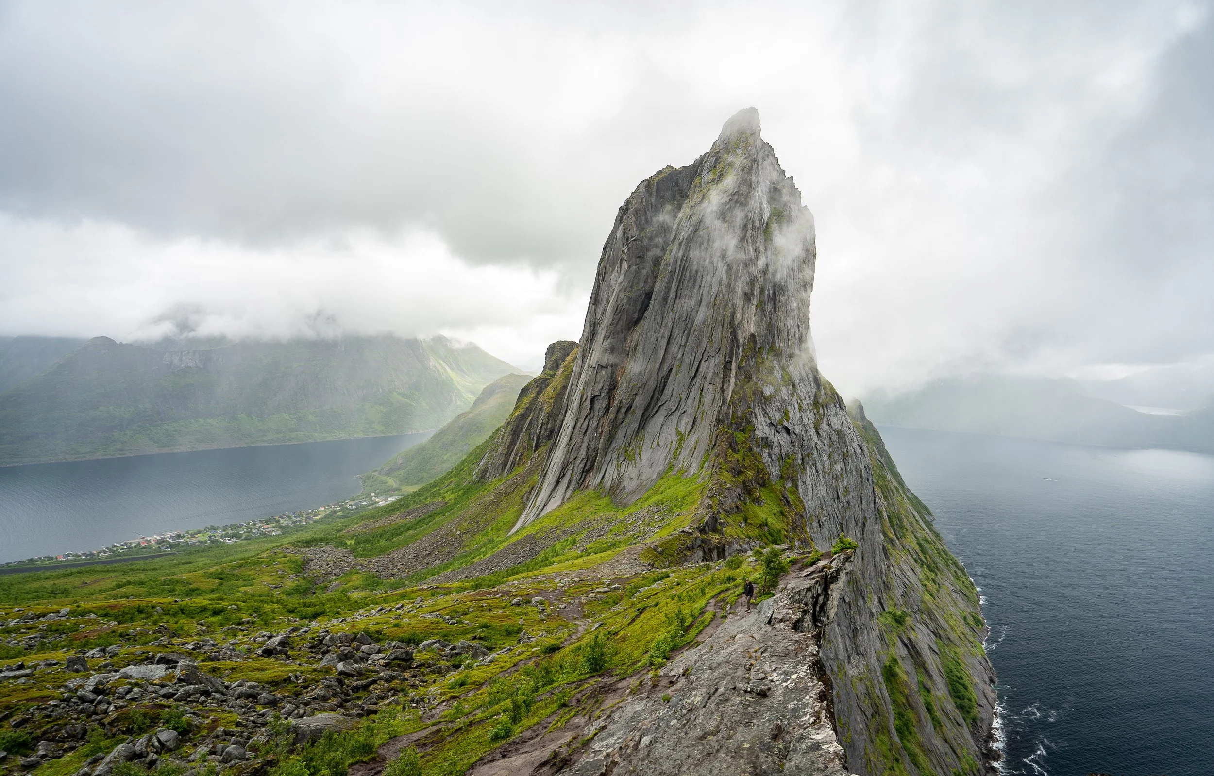 DSC02019.jpg