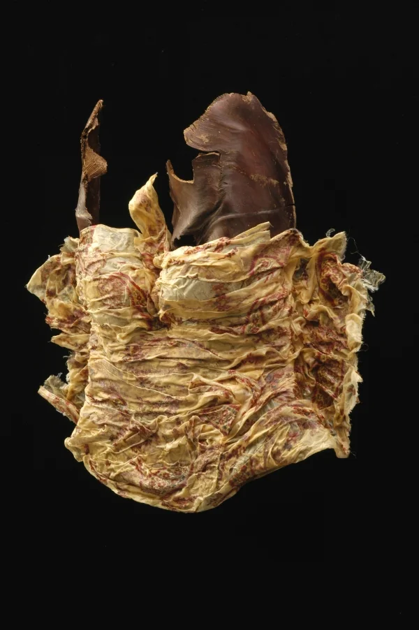 Chiffon Bustier on treated palm bark- SOLD