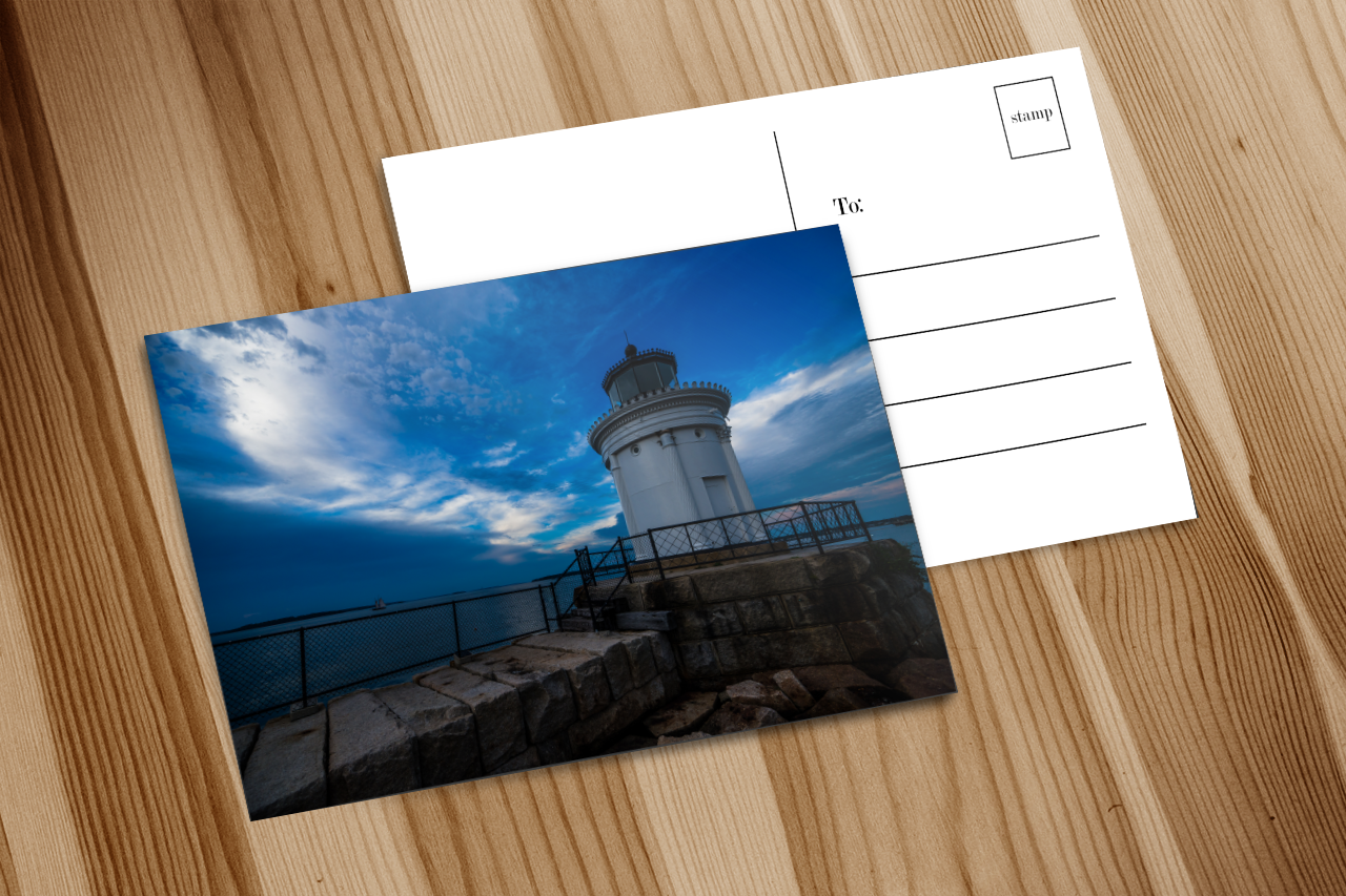 Postcard - 5 Pack - Bug Light