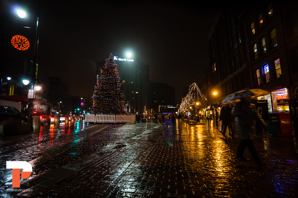 christmas-tree-2016-portland-maine-08.jpg