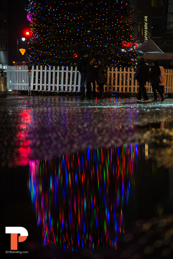 christmas-tree-2016-portland-maine-22.jpg