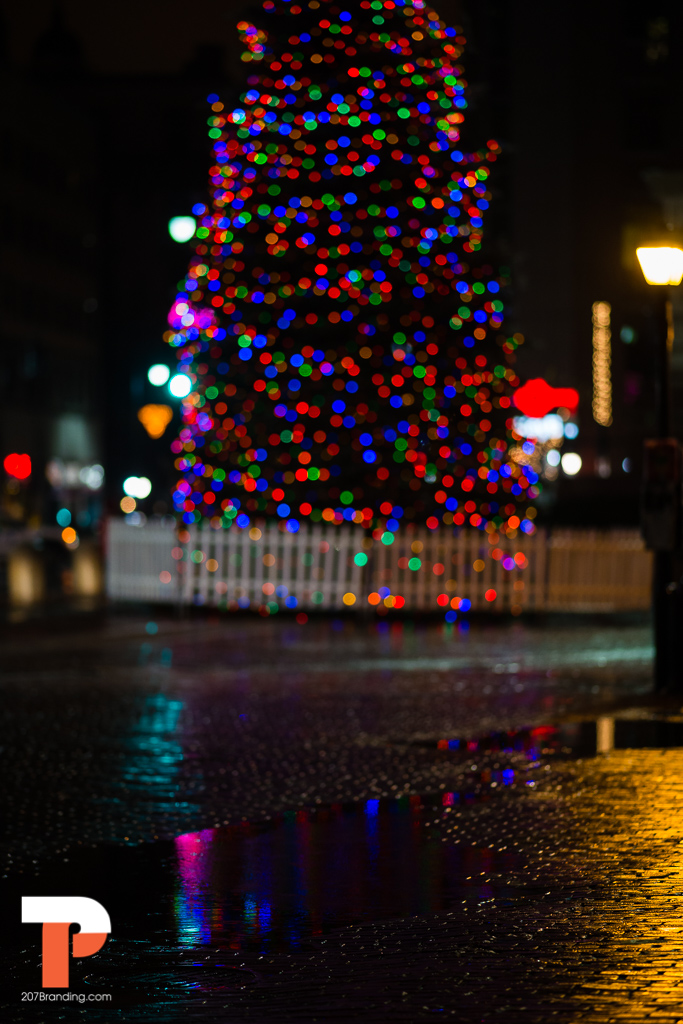 christmas-tree-2016-portland-maine-61.jpg