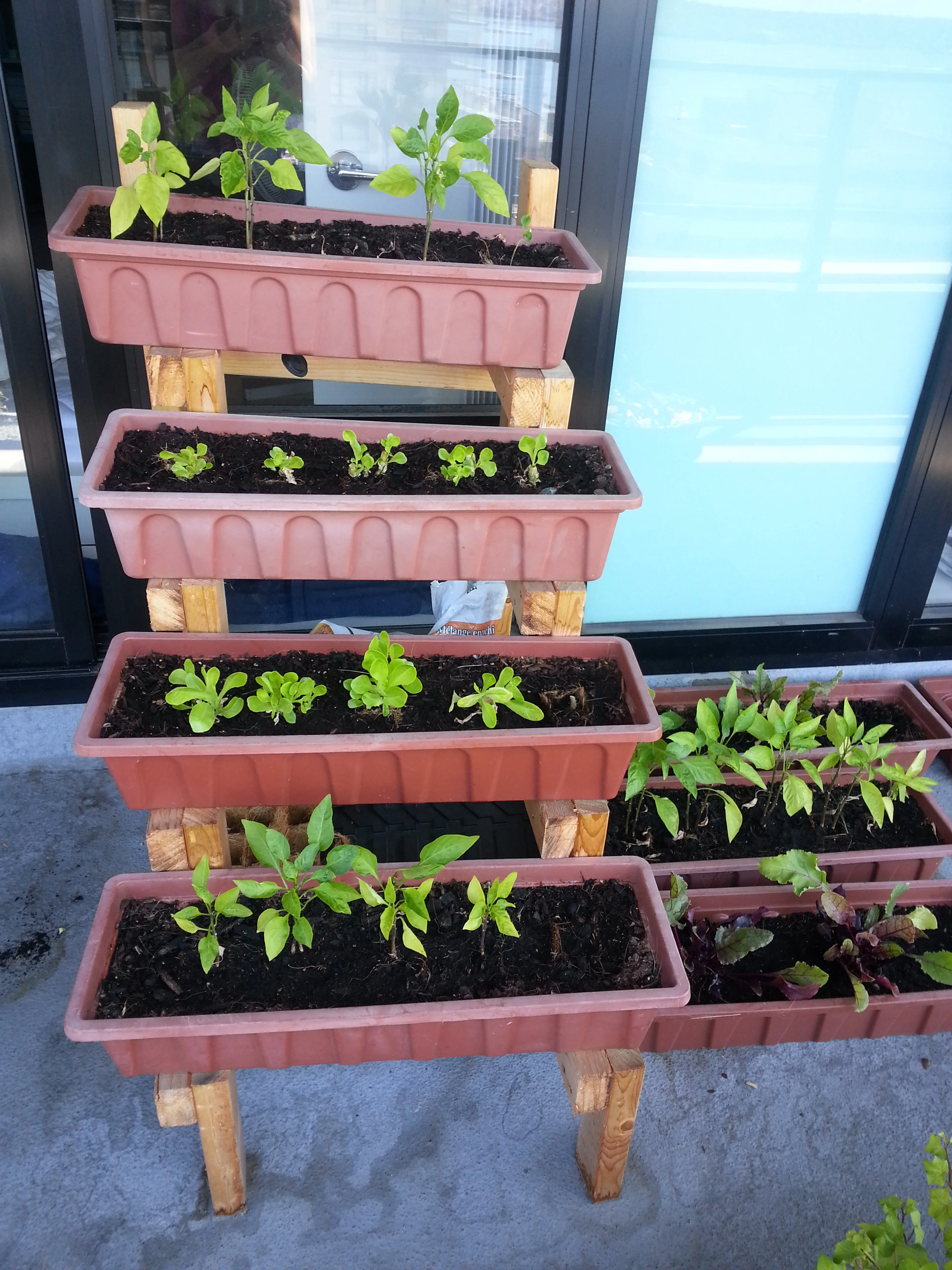 The Best Kept Gardening Secrets