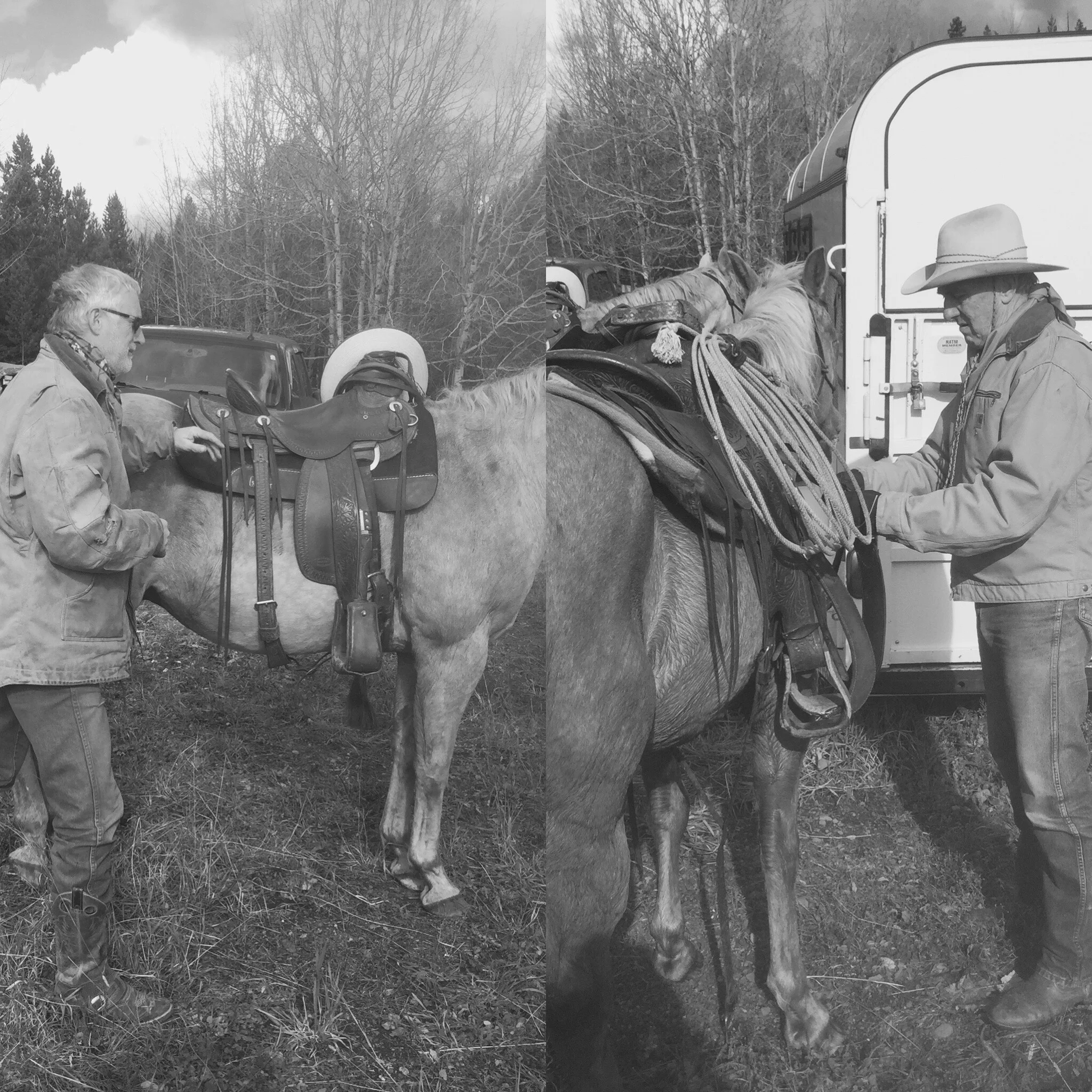 Double G Cattle Company 3.jpeg