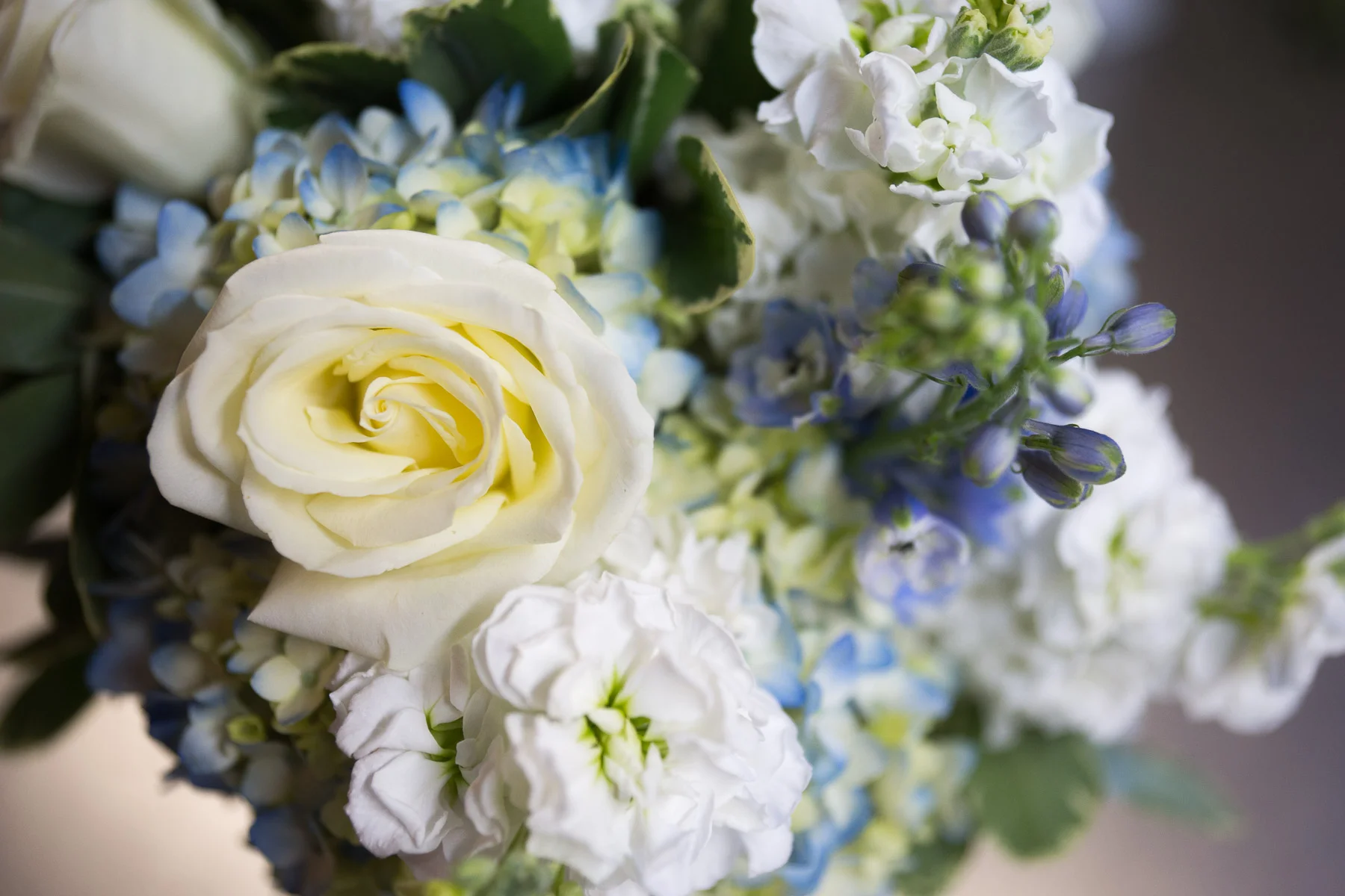 details-portland-maine-wedding-photographer-1