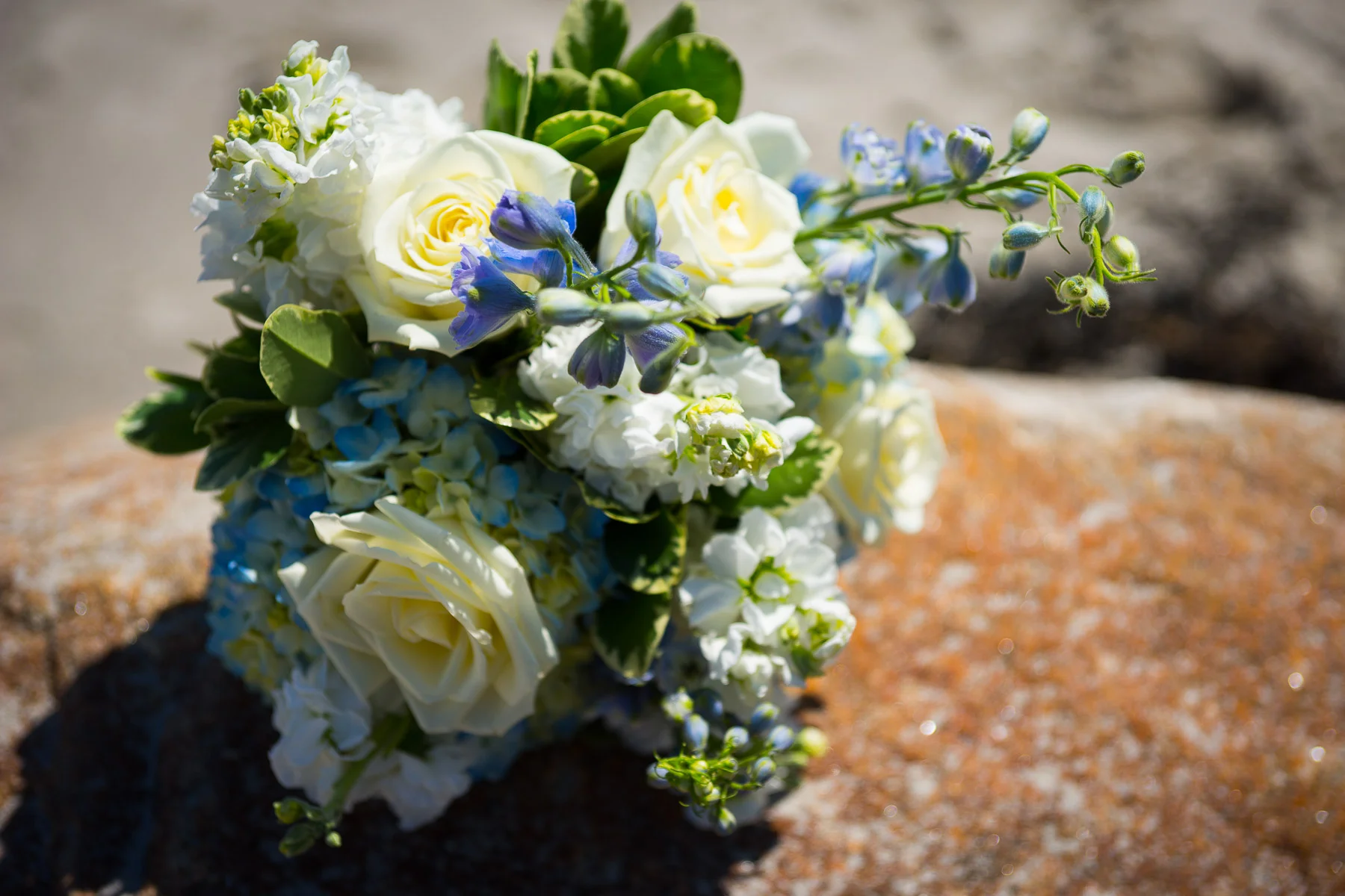 details-portland-maine-wedding-photographer-17