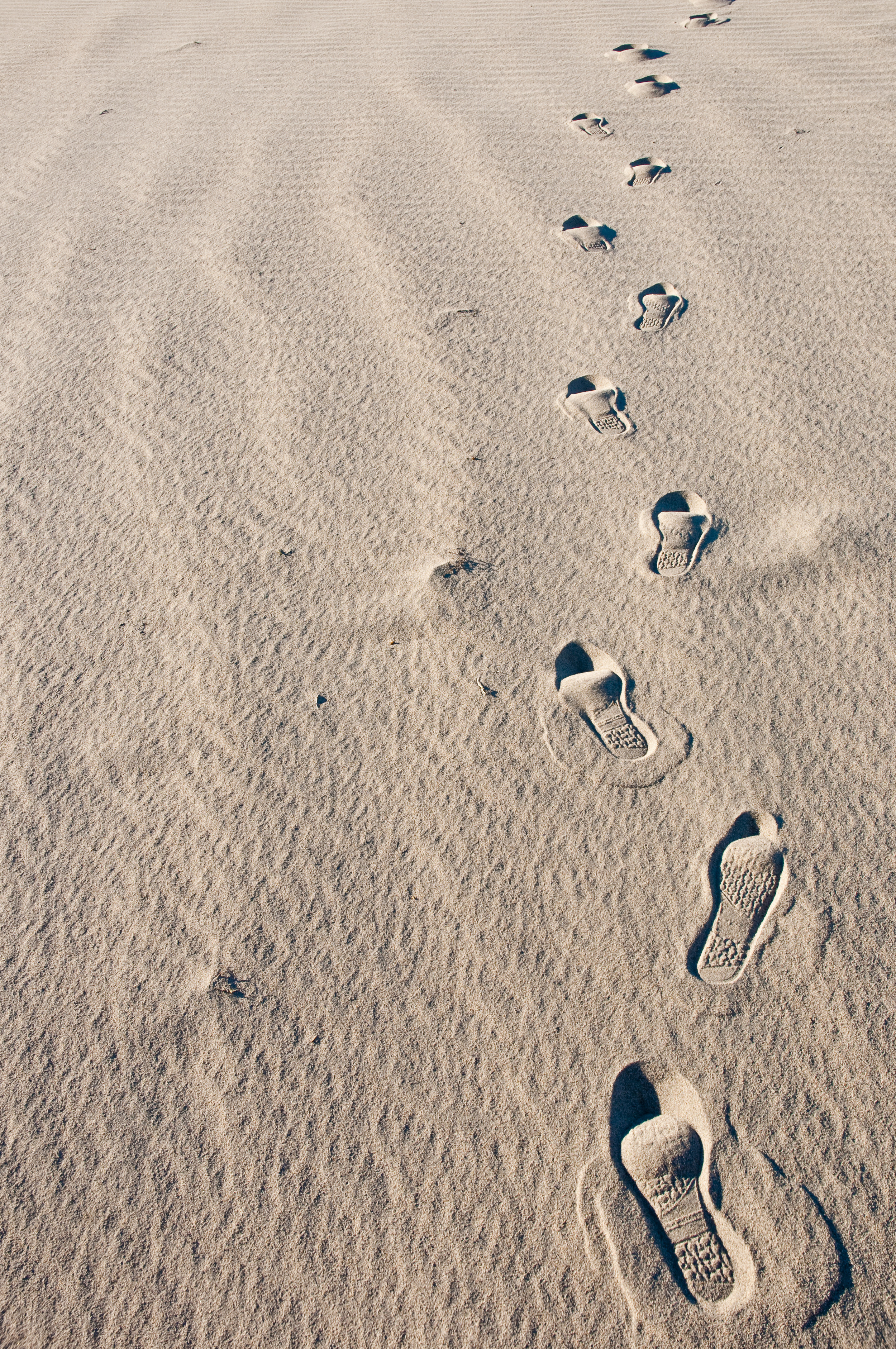 FootPrintsInTheSand.jpg