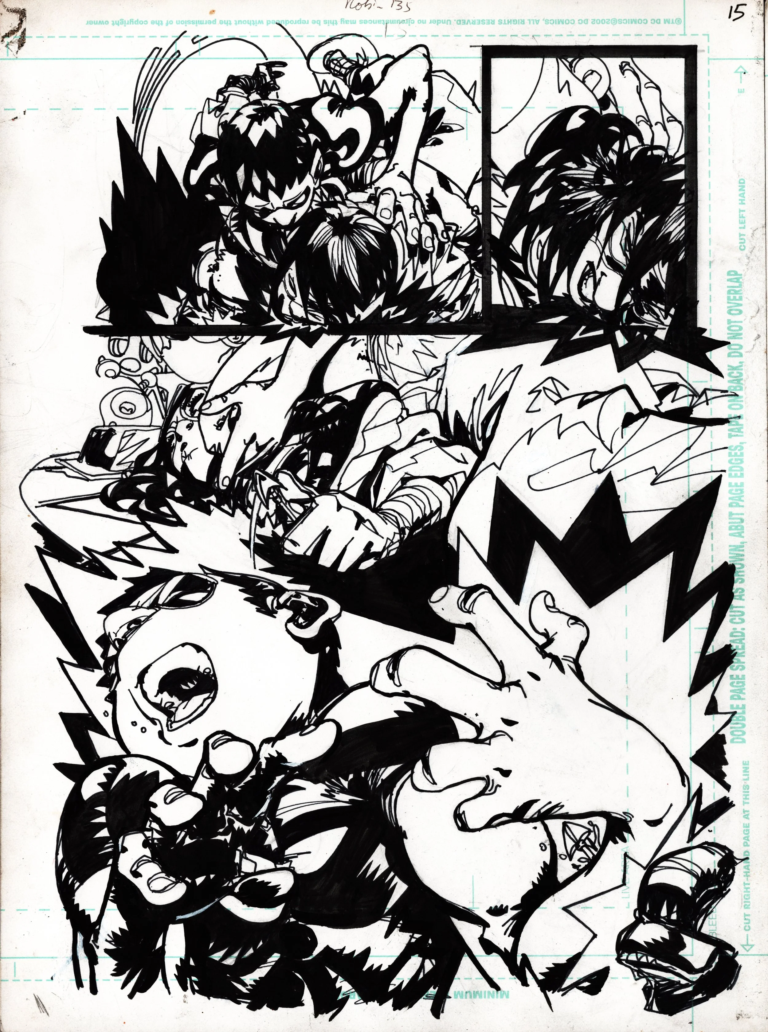ROBIN 135 PG 15.jpg