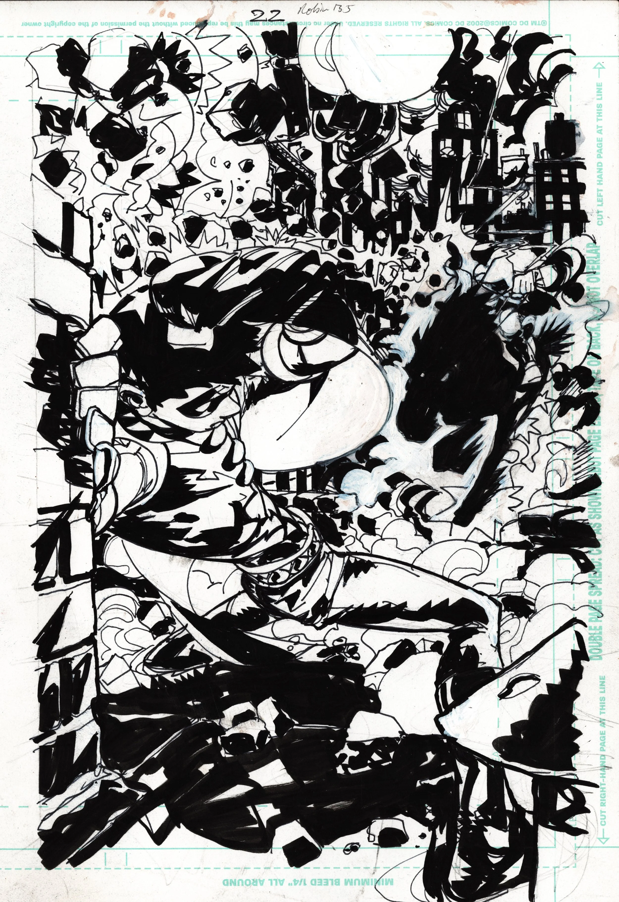 ROBIN 22  copy.jpg