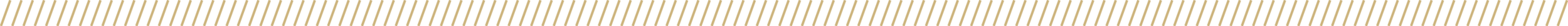 Line Divider 6_Pixejoo.png