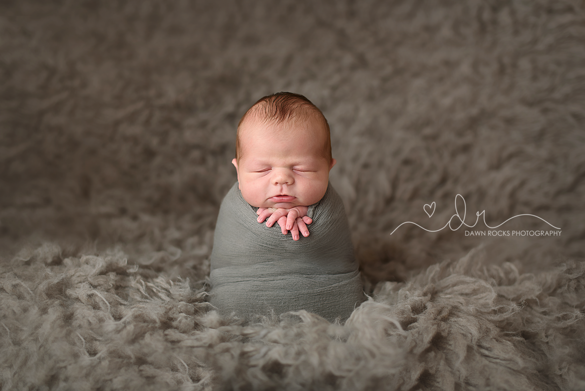 tacoma newborn photographer.png