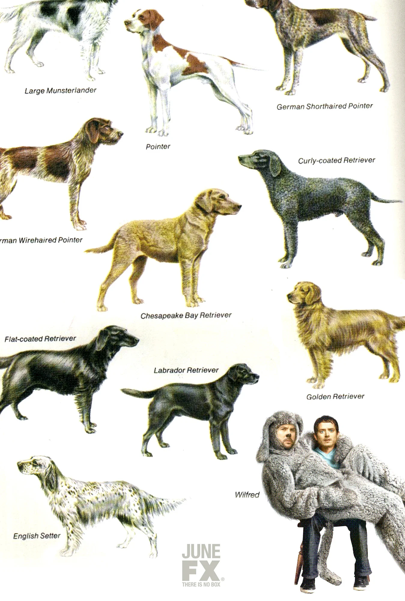 025_wilfred3_1sht_cd.jpg